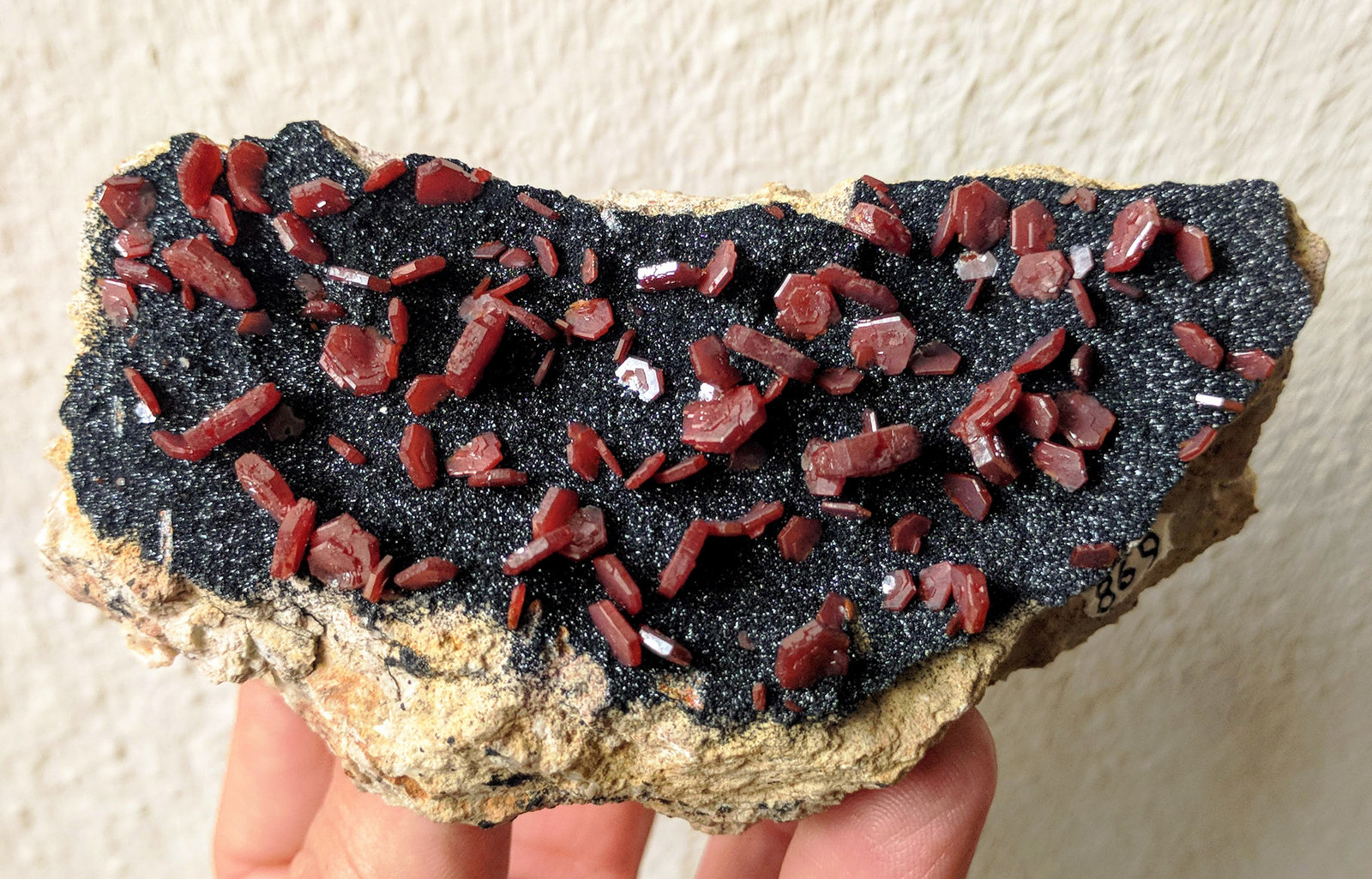 Vanadinita, Mottramita
10,7 x 5,7 x 4,5 cm.
(Autor: carles)