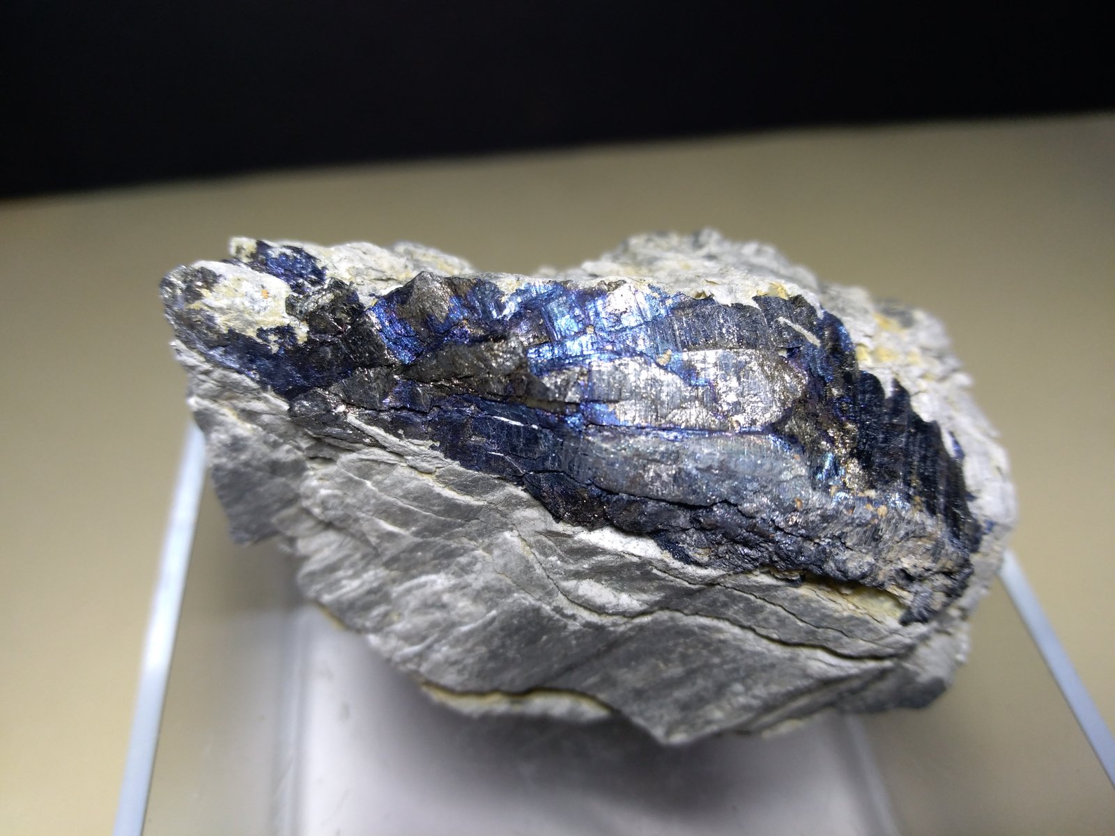 Stibnita (Estibina)
58 x 32 mm
(Autor: Sante Celiberti)