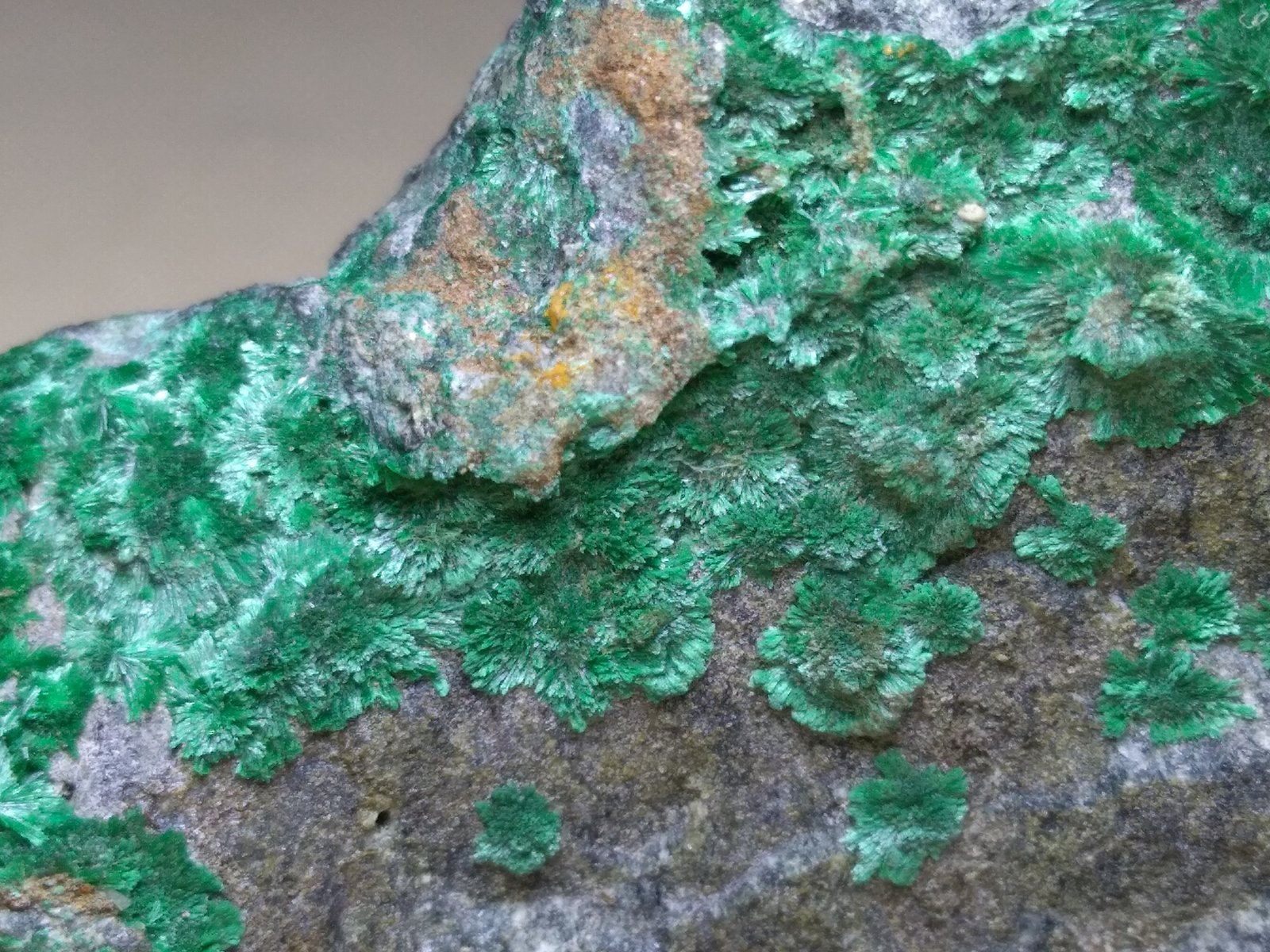 Malaquita
63 x 45 mm
(Autor: Sante Celiberti)