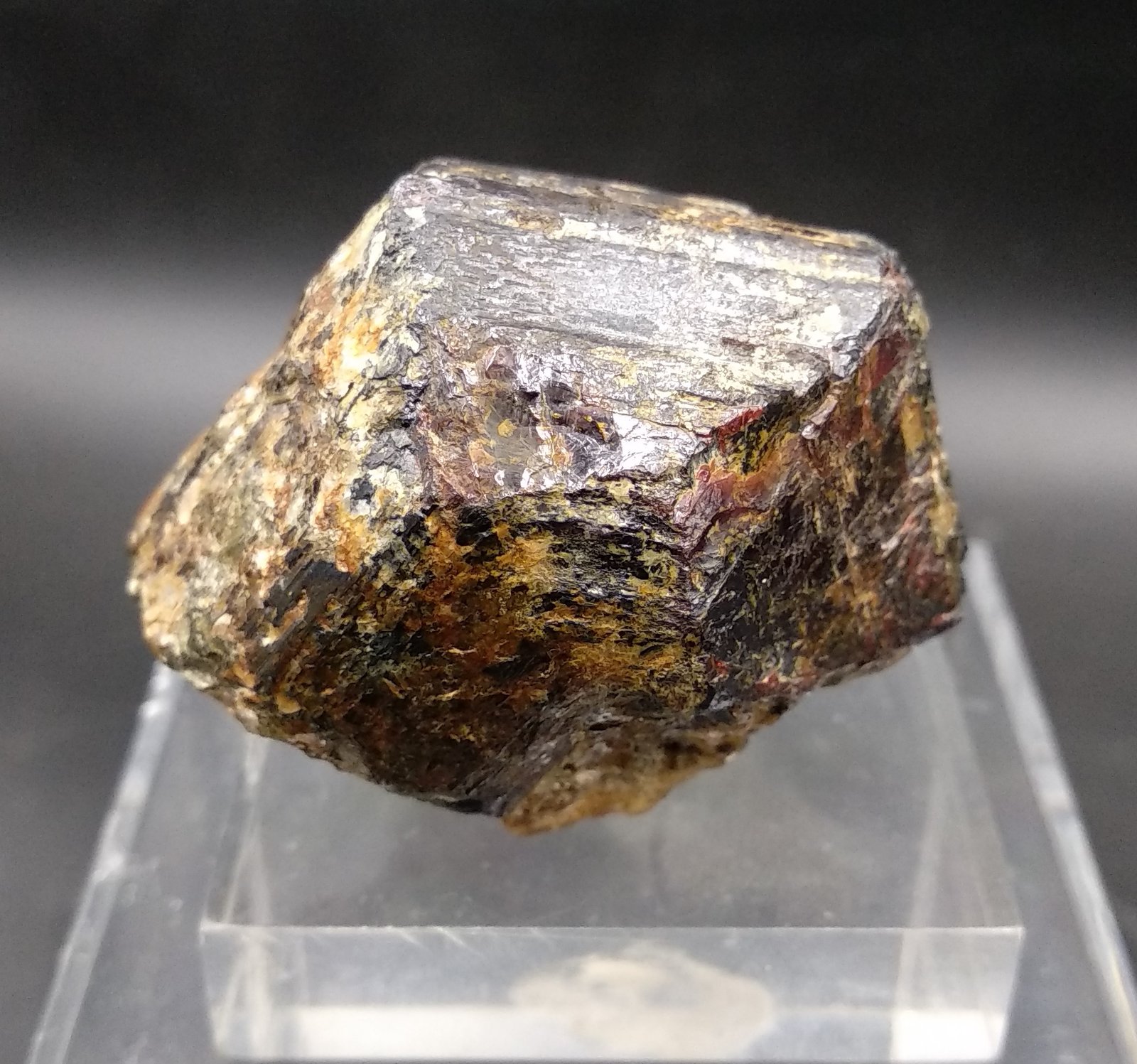 Rutilo
4cm
(Autor: yowanni)