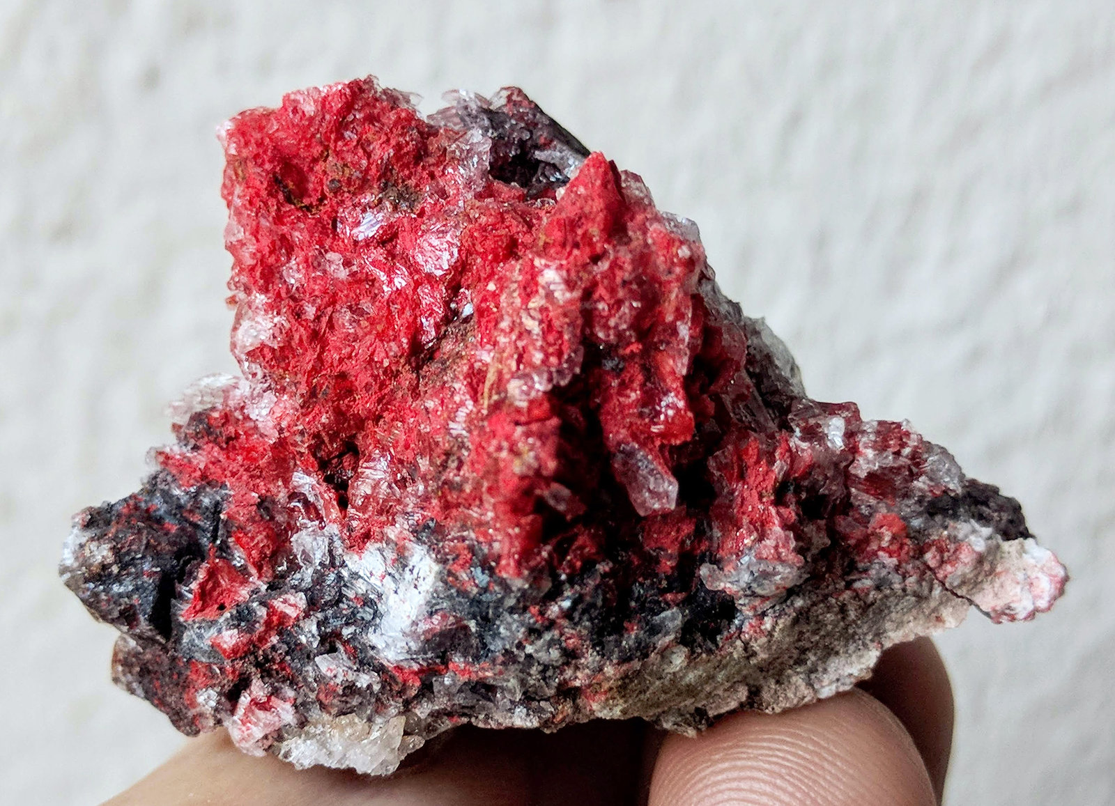 Cinabrio, Yeso
4,5 x 3,0 cm.
(Autor: carles)