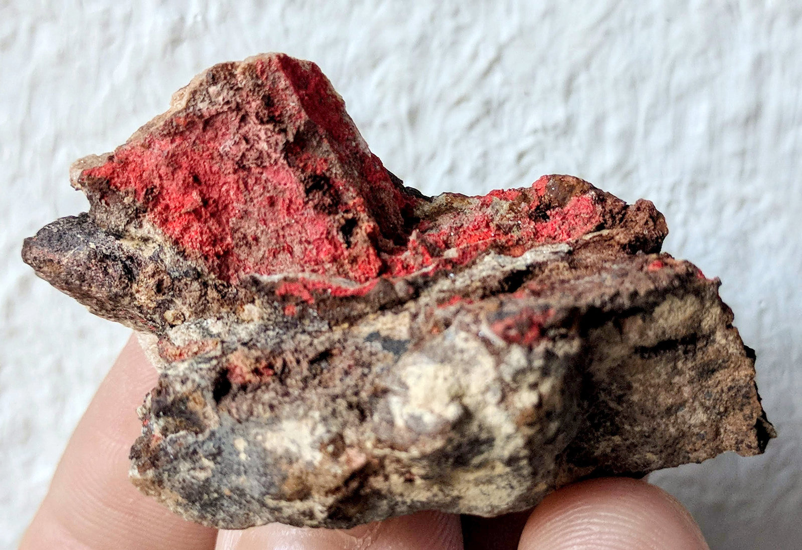 Cinabrio
4,9 x 3,0 cm.
(Autor: carles)