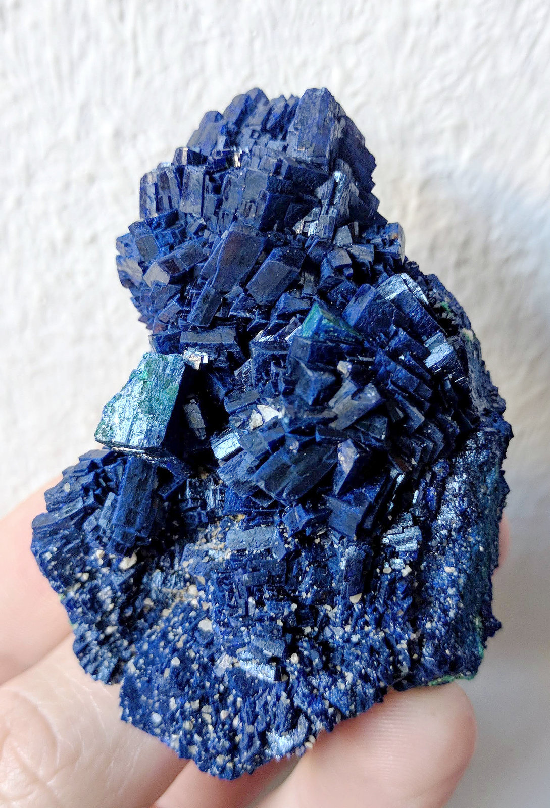 Azurita, Malaquita
7,1 x 5,0 cm.
(Autor: carles)