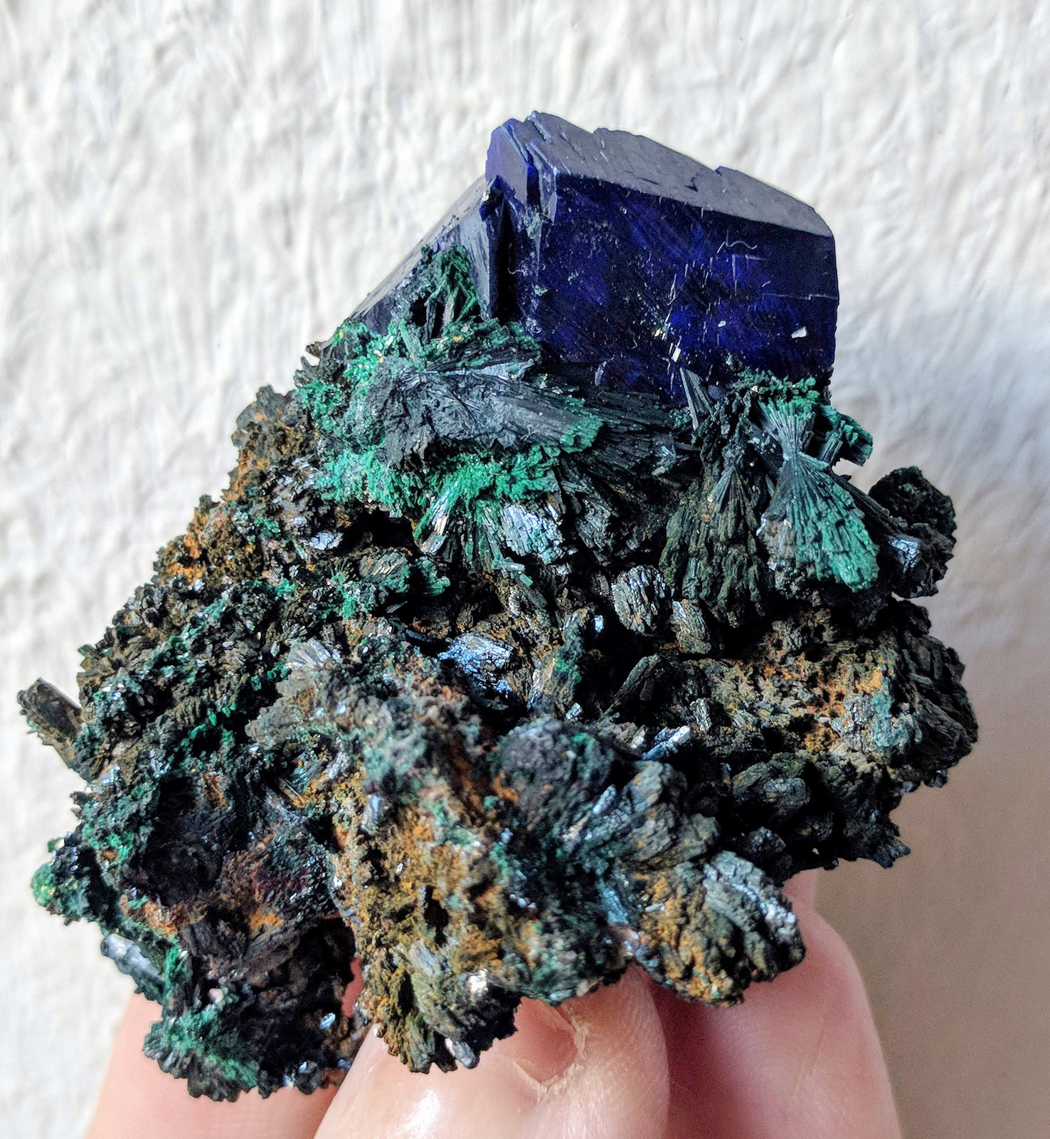 Azurita, Malaquita
5,9 x 5,0 cm.
(Autor: carles)