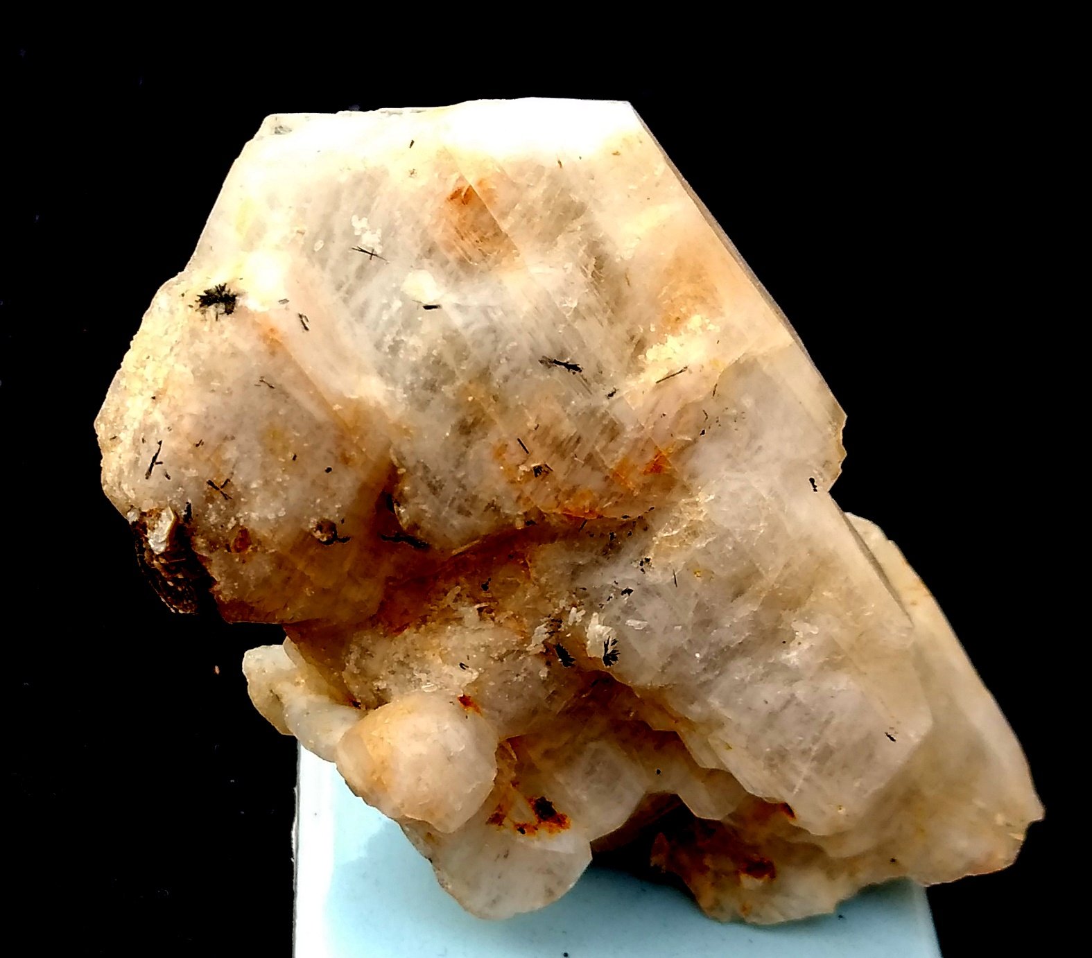 Albita
8 x 5 x 1,8 cm.
(Autor: Anisio Claudio)