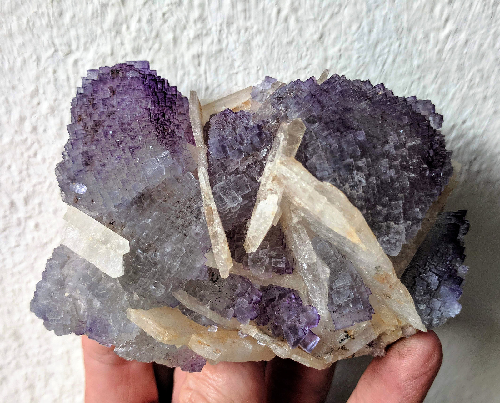 Fluorita, Barita
9,7 x 6,6 cm.
(Autor: carles)
