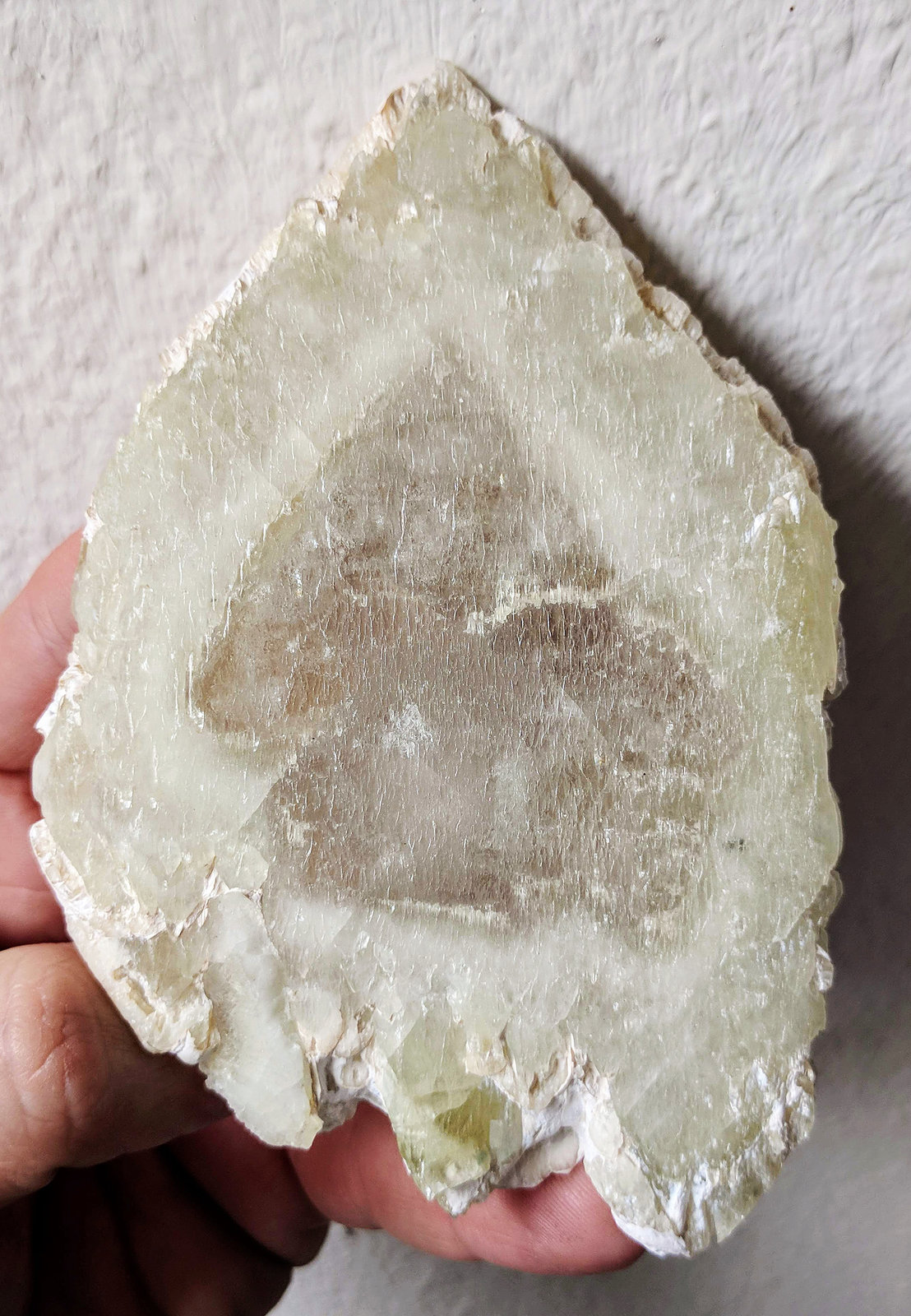 Barita, Actinolita
12,6 x 8,2 cm.
(Autor: carles)