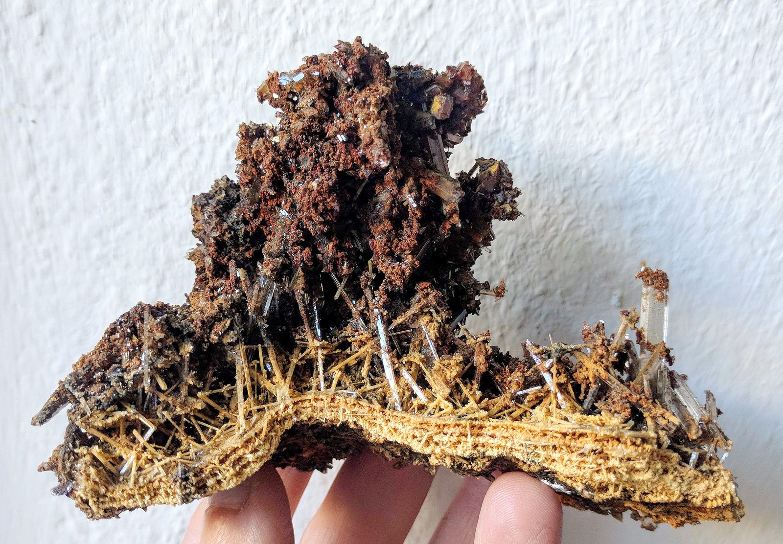 Yeso
11,3 x 7,5 cm.
(Autor: carles)