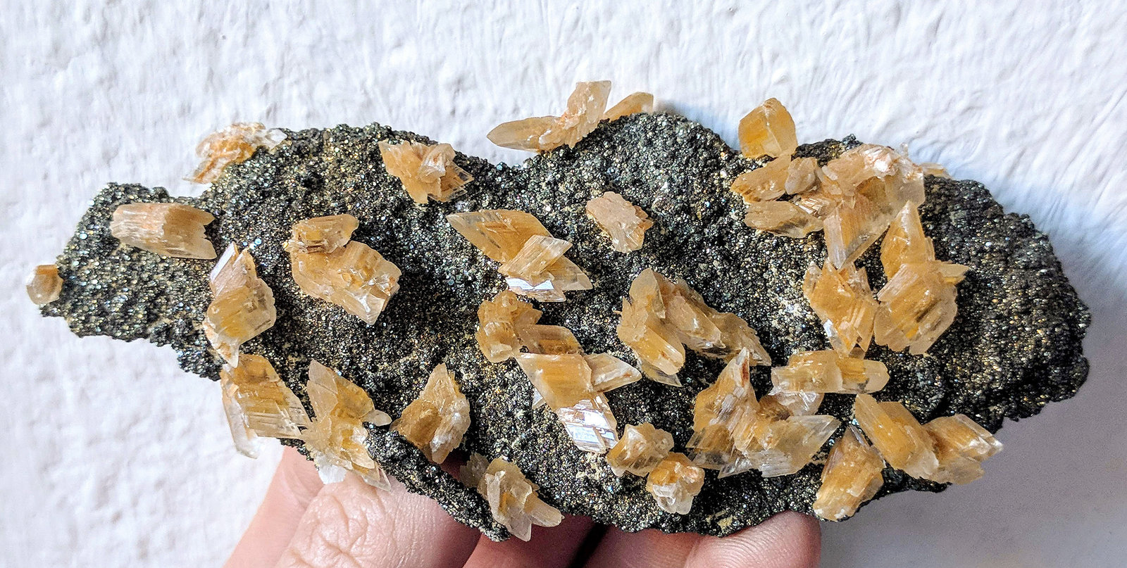 Yeso, Pirita
12,2 x 5,5 cm.
(Autor: carles)