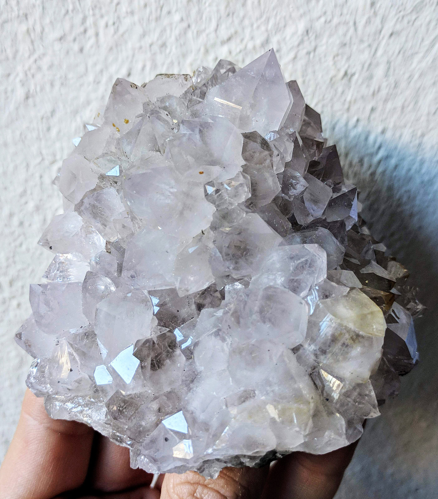 Cuarzo (variedad amatista)
9,3 x 8,4 cm.
(Autor: carles)