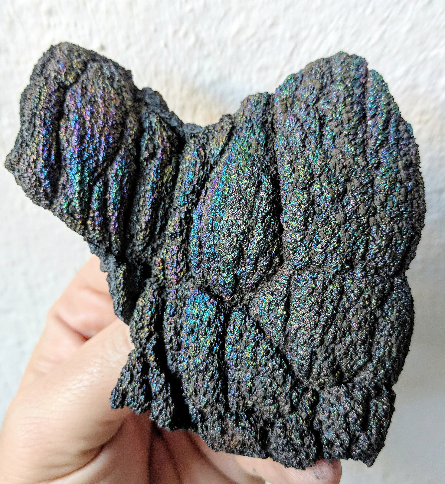 Goethita
10,0 x 8,2 cm.
(Autor: carles)