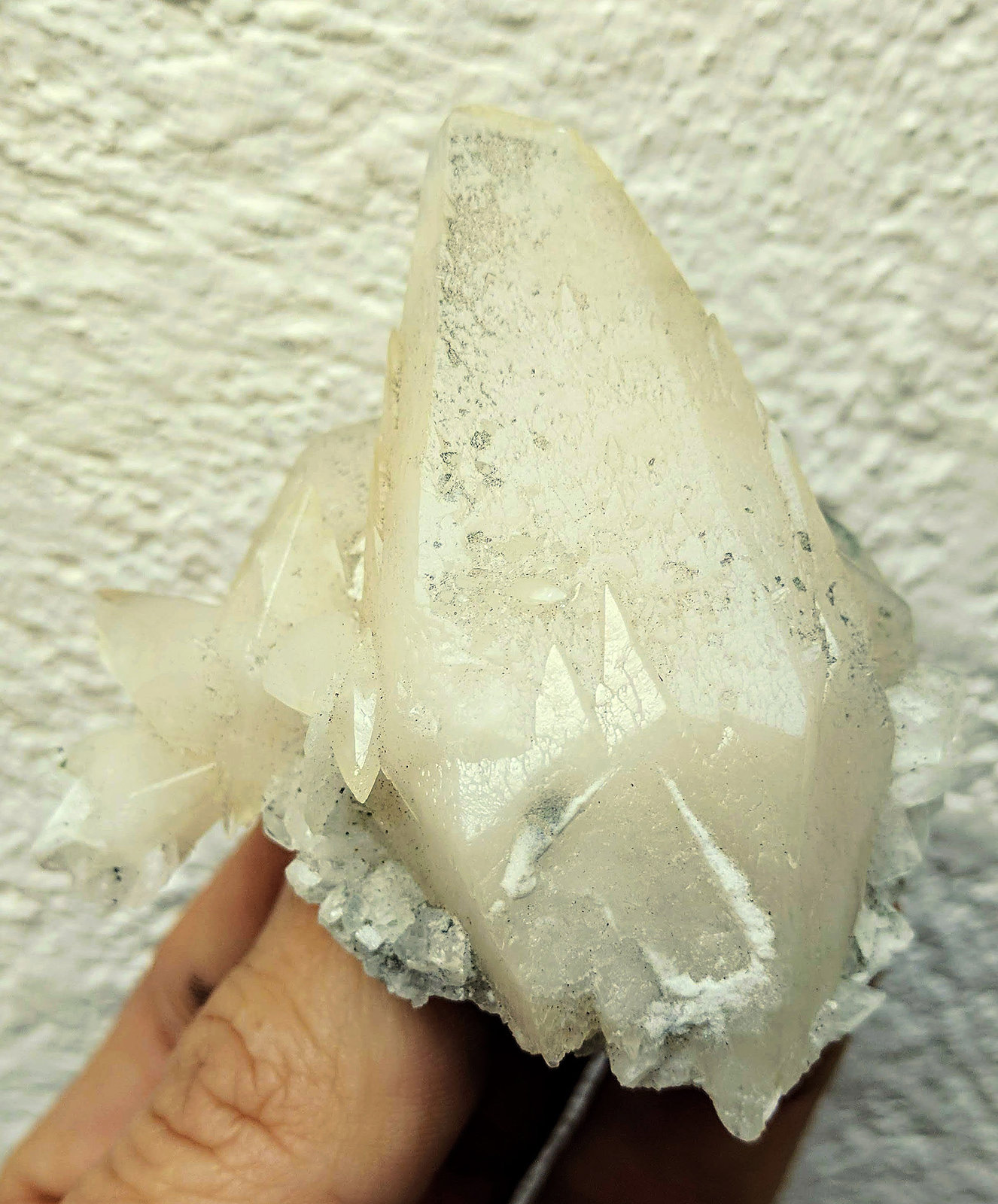 Calcita
6,5 x 6,0 cm.
(Autor: carles)