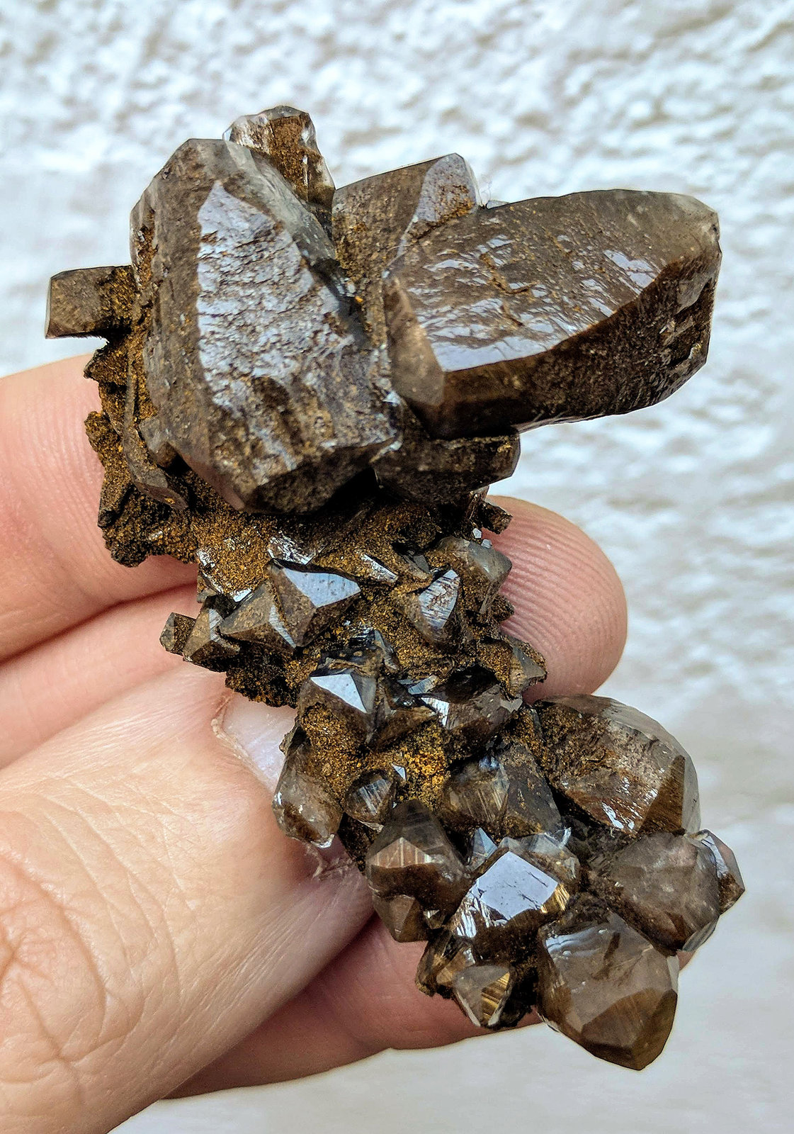 Calcita
5,8 x 4,2 cm.
(Autor: carles)