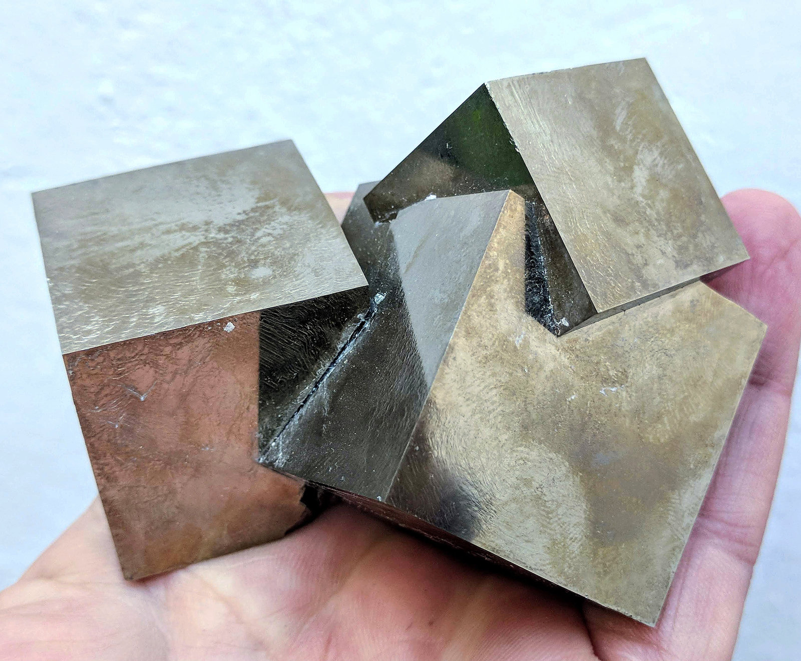 Pirita
8,3 x 6,3 cm.
(Autor: carles)