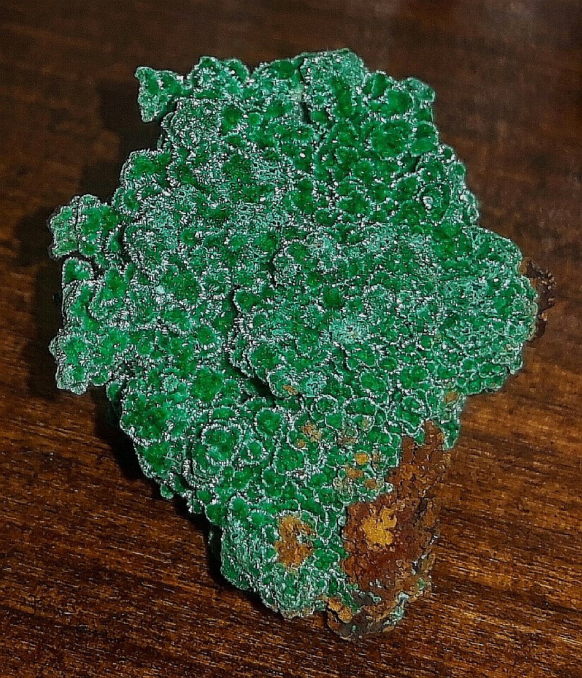 Brochantita
30x20mm
(Autor: joaquin gar)