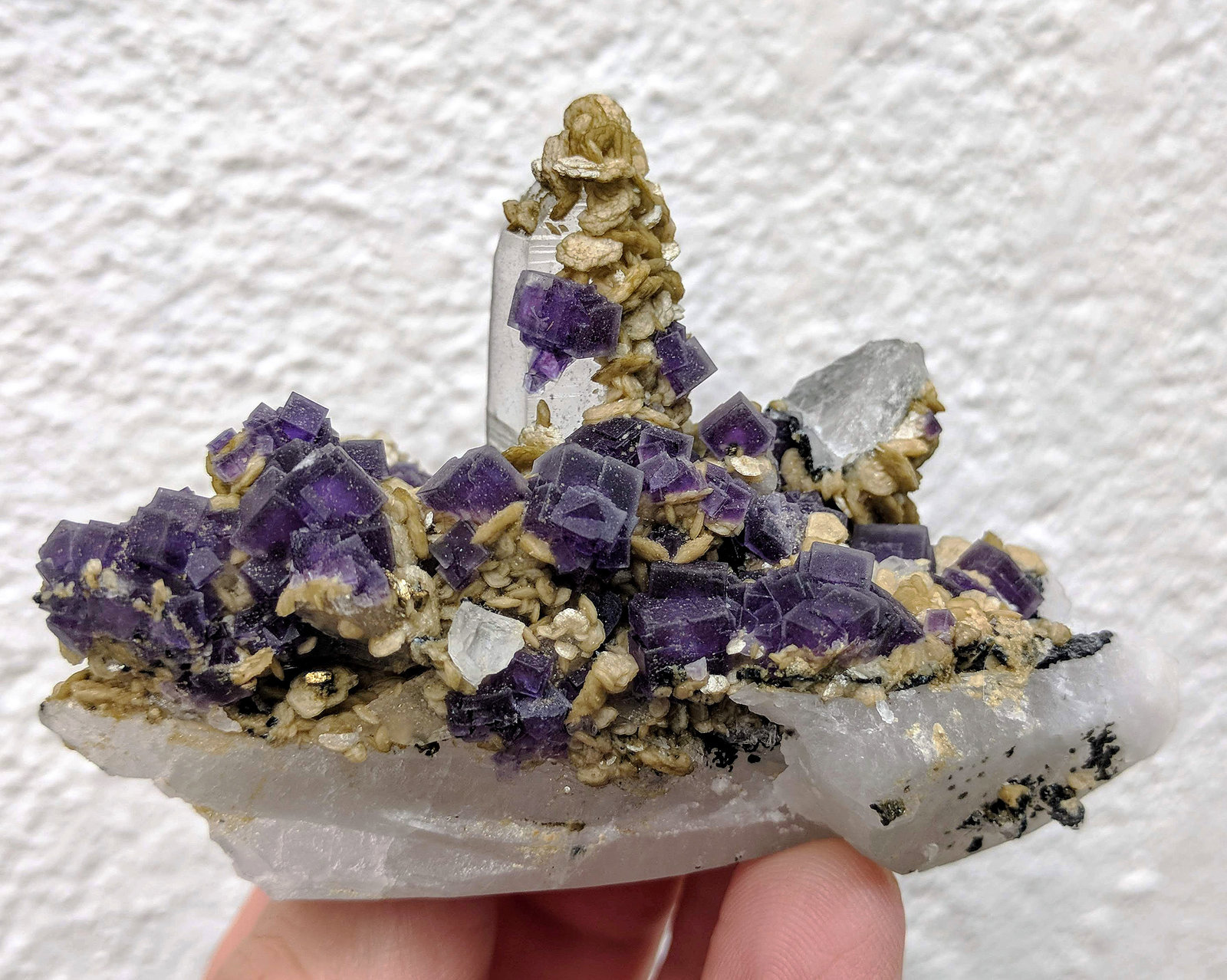 Cuarzo, Fluorita, Siderita, Moscovita
7,7 x 5,5 cm.
(Autor: carles)