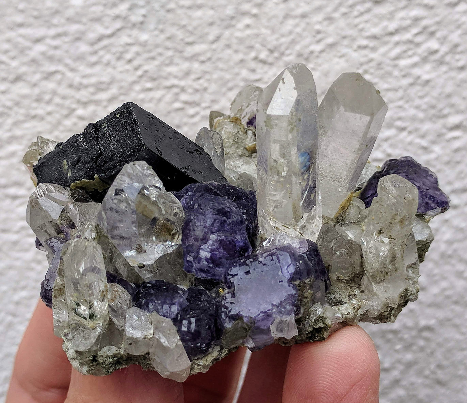Cuarzo, Ferberita, Fluorita, Topacio, Arsenopirita
6,5 x 5,2 cm.
(Autor: carles)