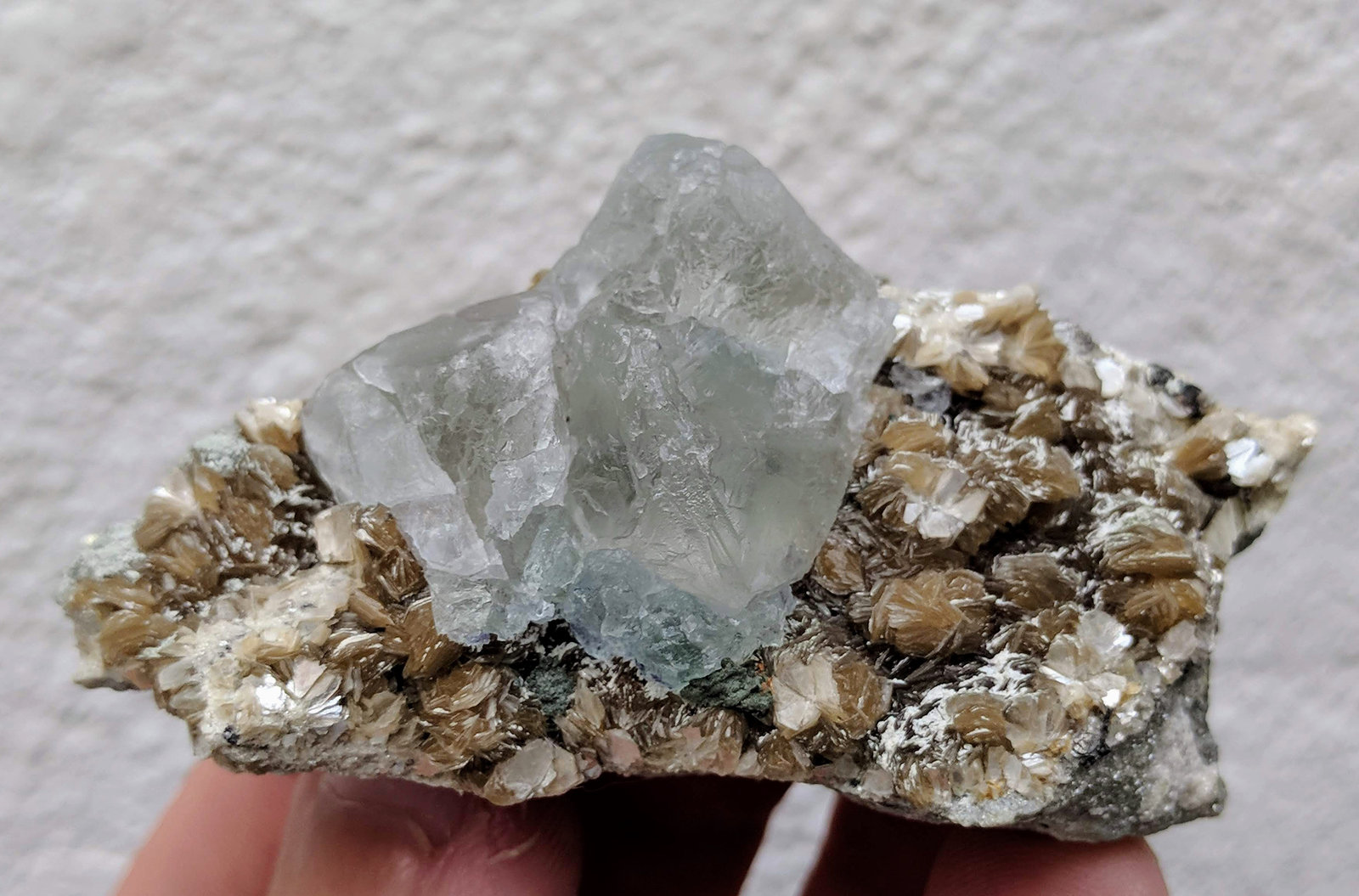 Fluorita, Moscovita
6,8 x 3,6 cm.
(Autor: carles)