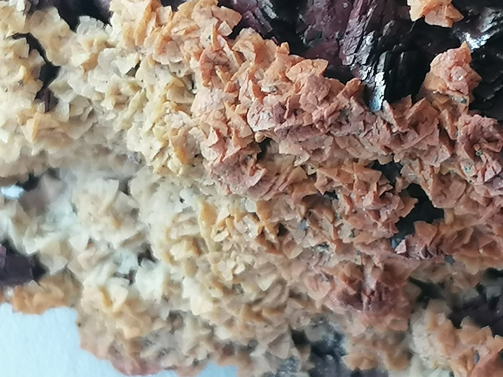 Siderita, Ankerita.
6 x 3 cm.
(Autor: Rafael varela olveira)