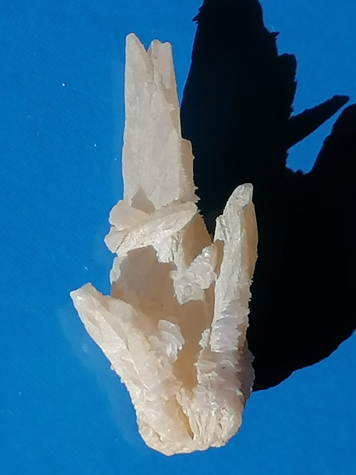 Calcita.
7 x 3 cm.
(Autor: Rafael varela olveira)
