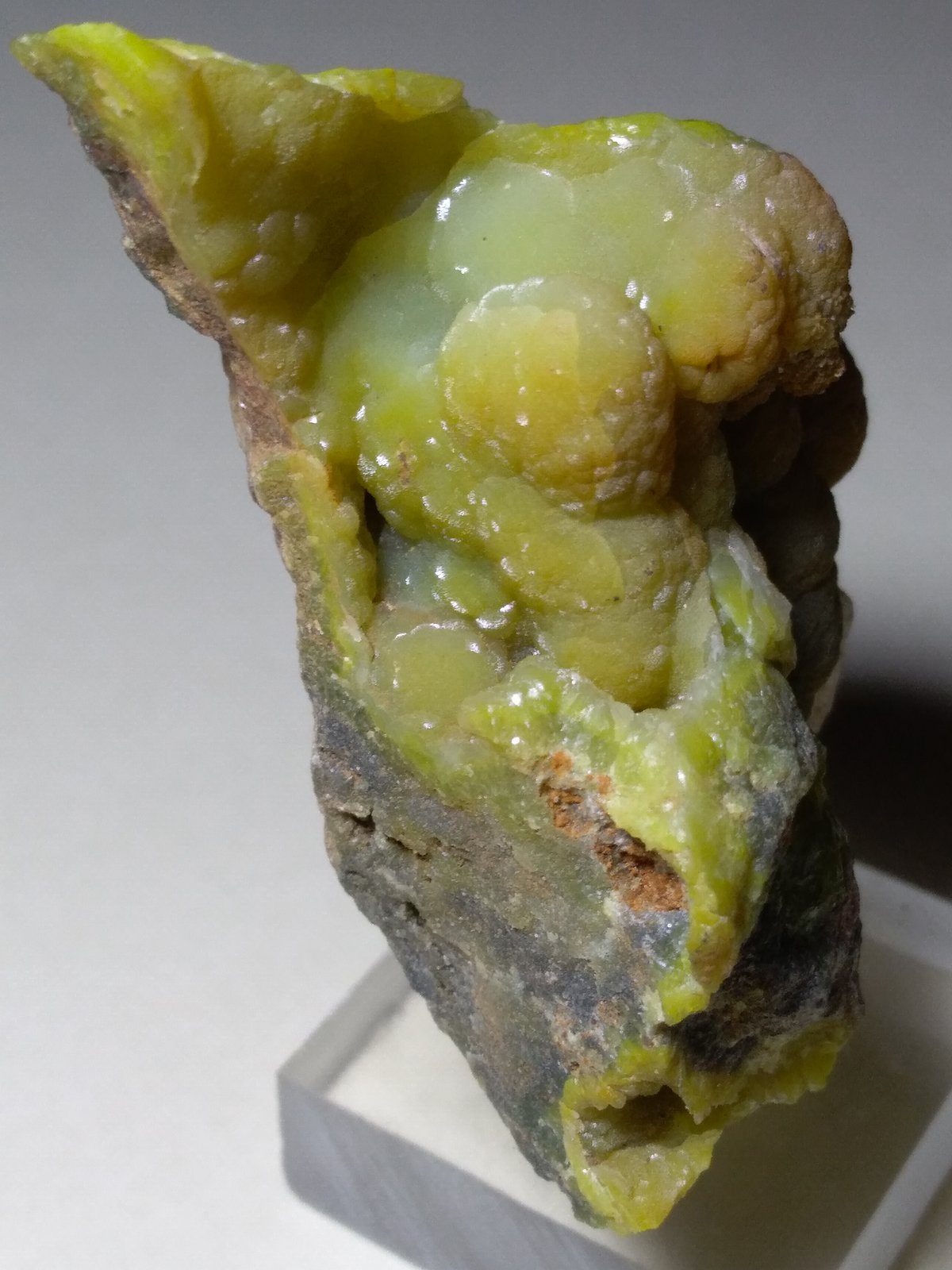 Smithsonita, Cerusita
62 x 35 mm
(Autor: Sante Celiberti)