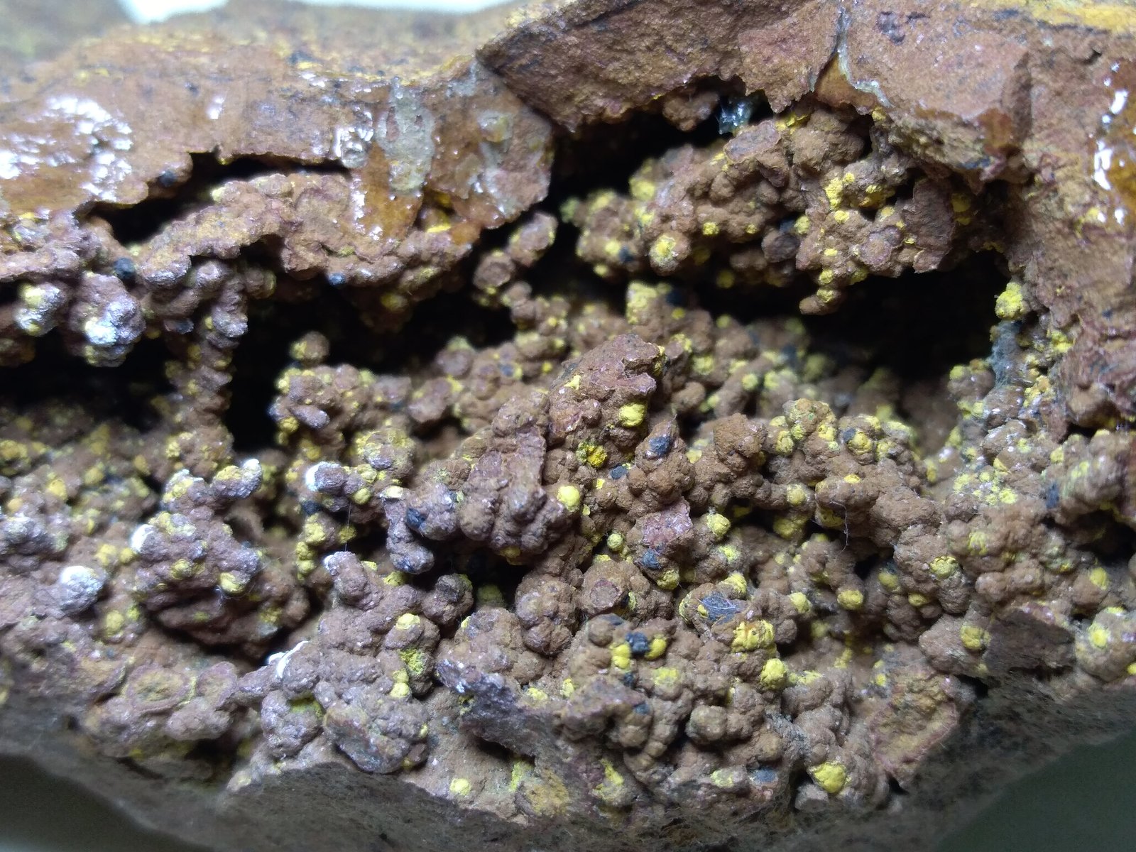Smithsonita (pseudomorfica de Calcita), Greenockita
67 x 50 mm
(Autor: Sante Celiberti)