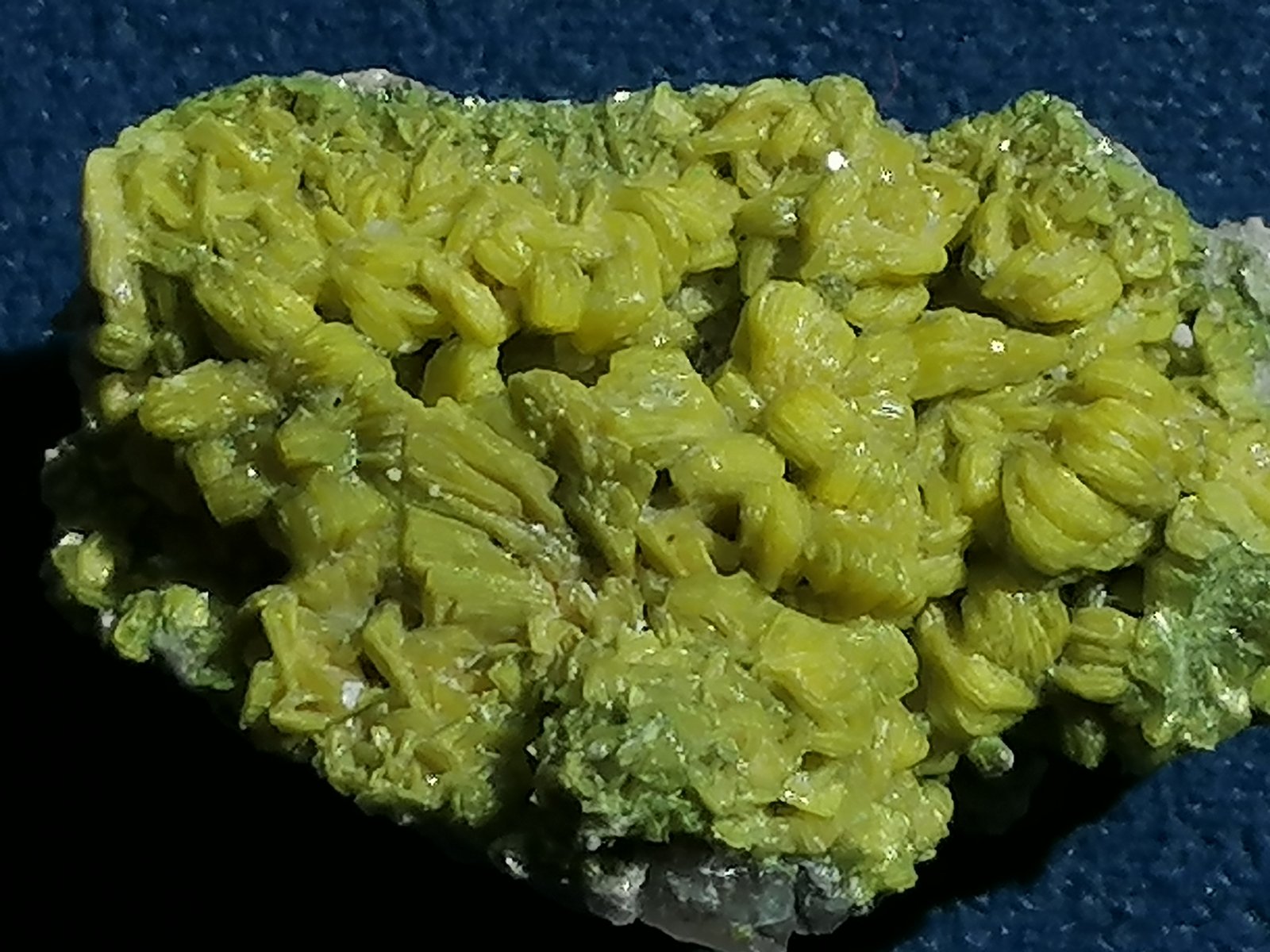 Autunita.
4 x 2 cm.
(Autor: Rafael varela olveira)