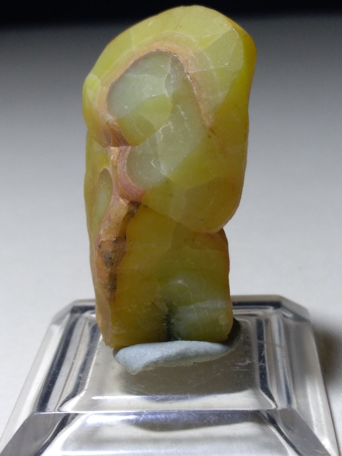 Smithsonita
33 x 18 mm
(Autor: Sante Celiberti)