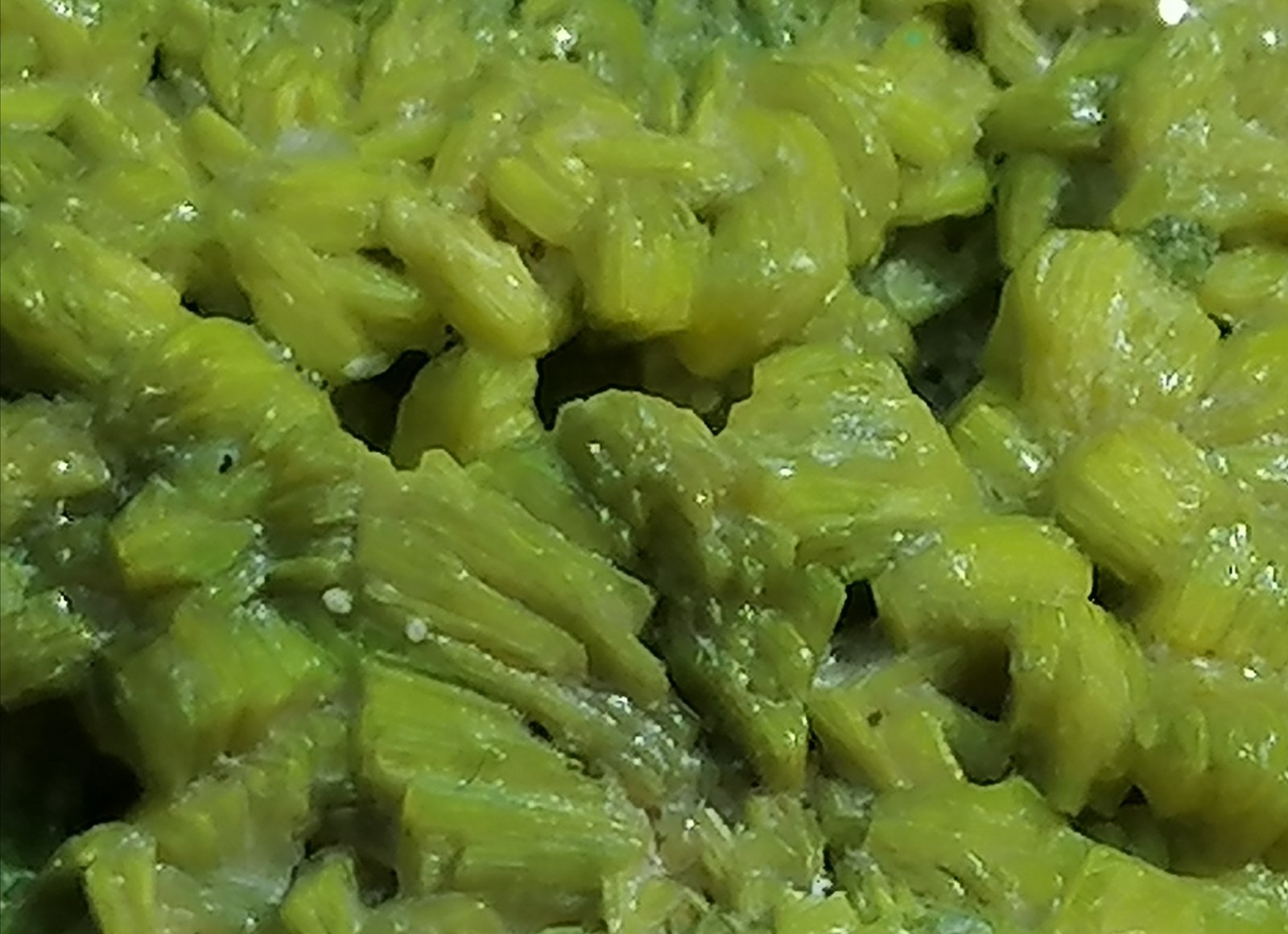 Autunita.
4 x 2 cm.
(Autor: Rafael varela olveira)