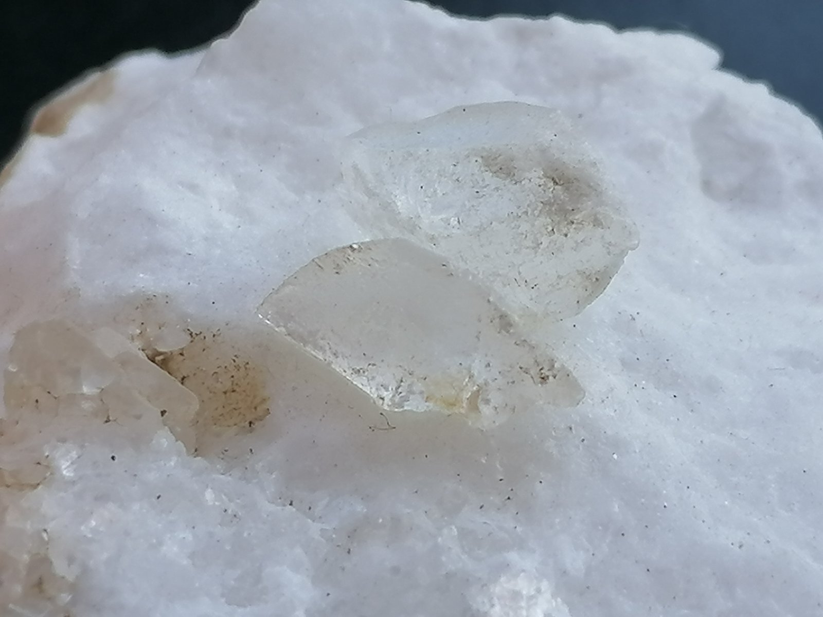 Yeso.
6 x 6 cm.
(Autor: Rafael varela olveira)