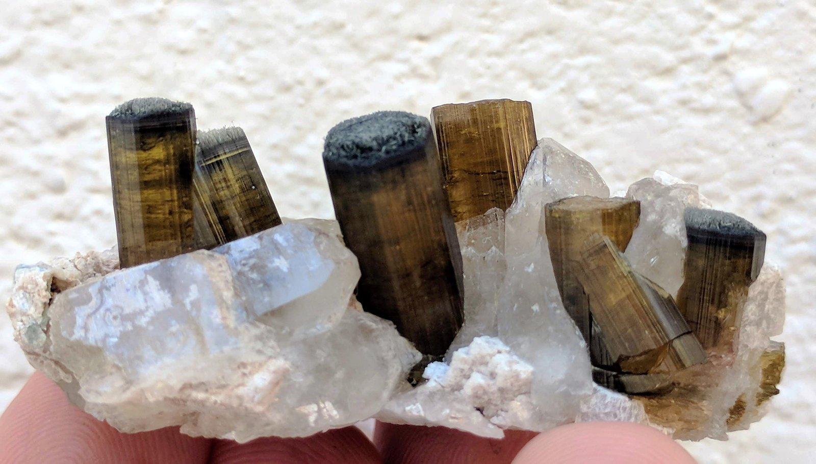 Elbaita, Cuarzo, Feldespato
5,6 x 4,0 x 2,7 cm.
(Autor: carles)