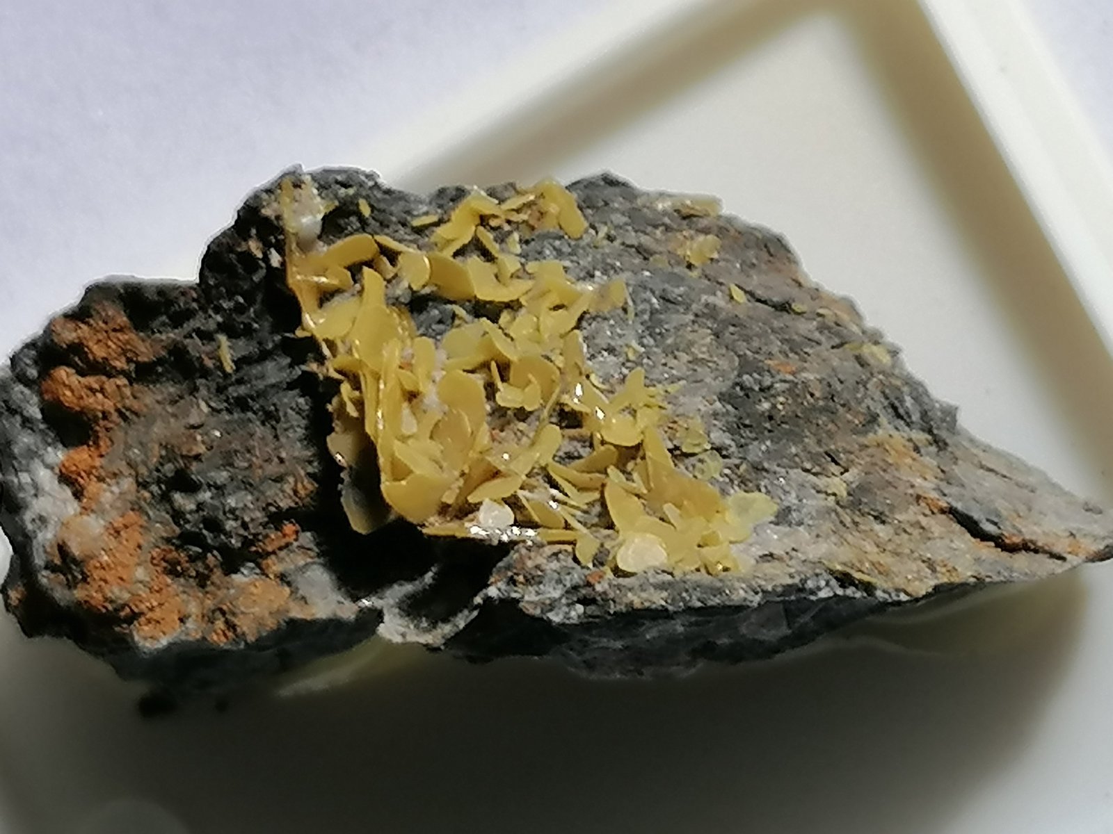 Wulfenita.
7 x 4 cm.
(Autor: Rafael varela olveira)