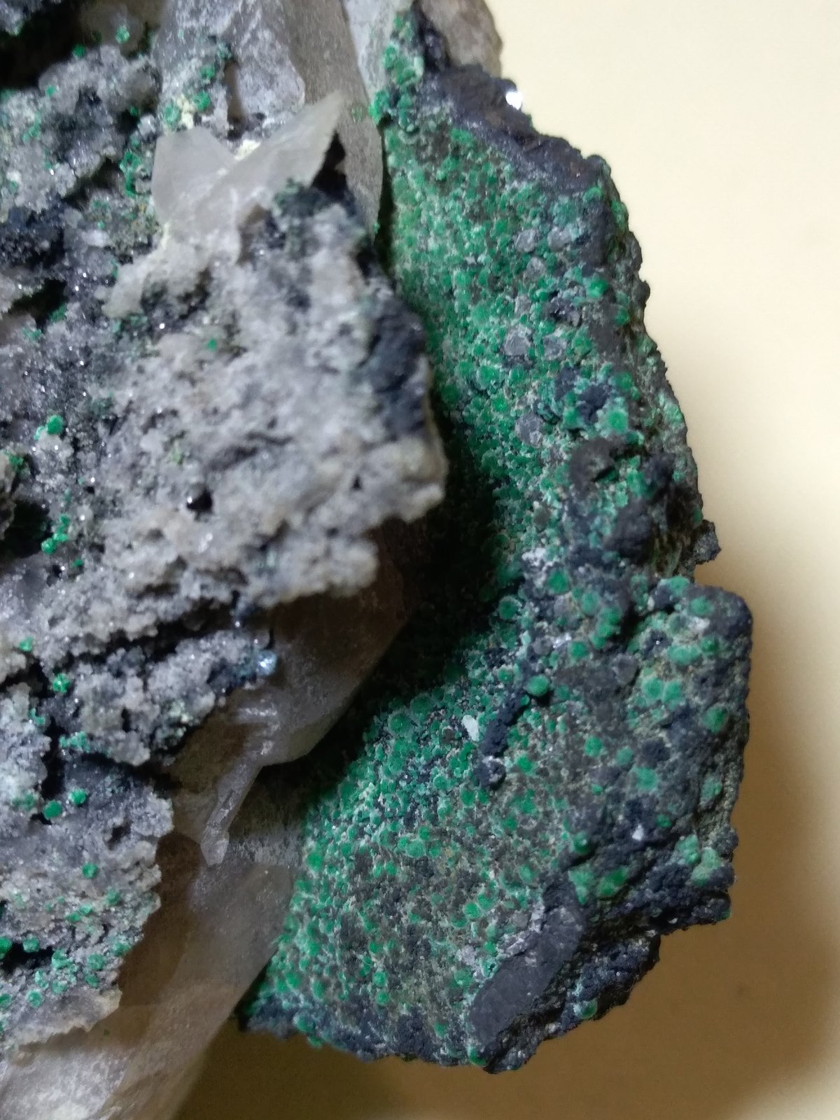 Polybasita, Cerusita, Malaquita
(0 x 60 mm
(Autor: Sante Celiberti)