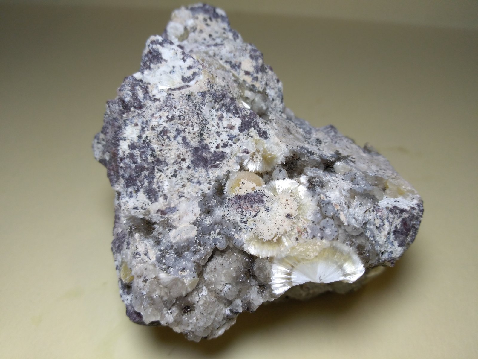 Ferrierita
70 x 58 mm
(Autor: Sante Celiberti)