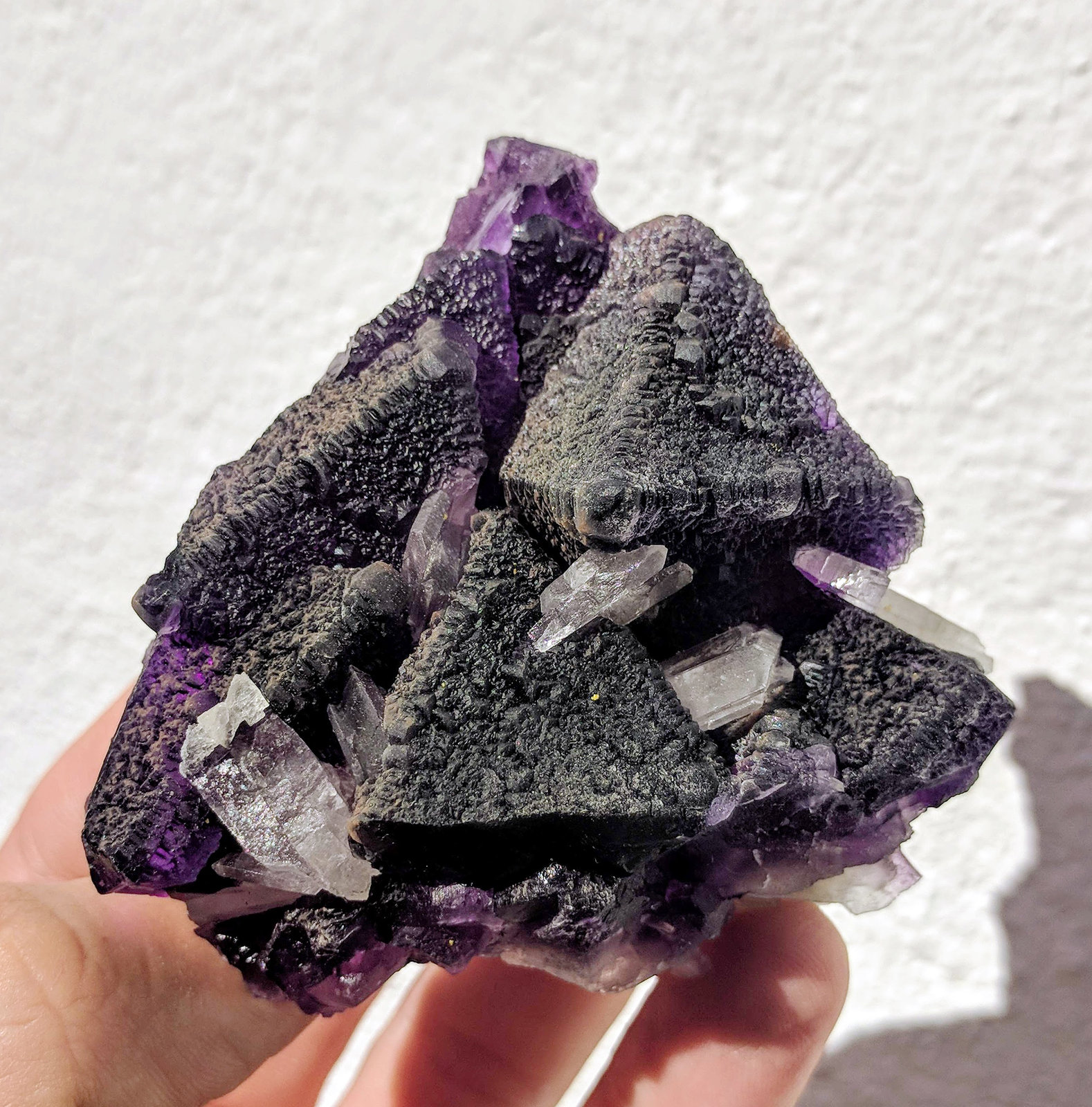 Fluorita
7,5 x 7,0 cm.
(Autor: carles)