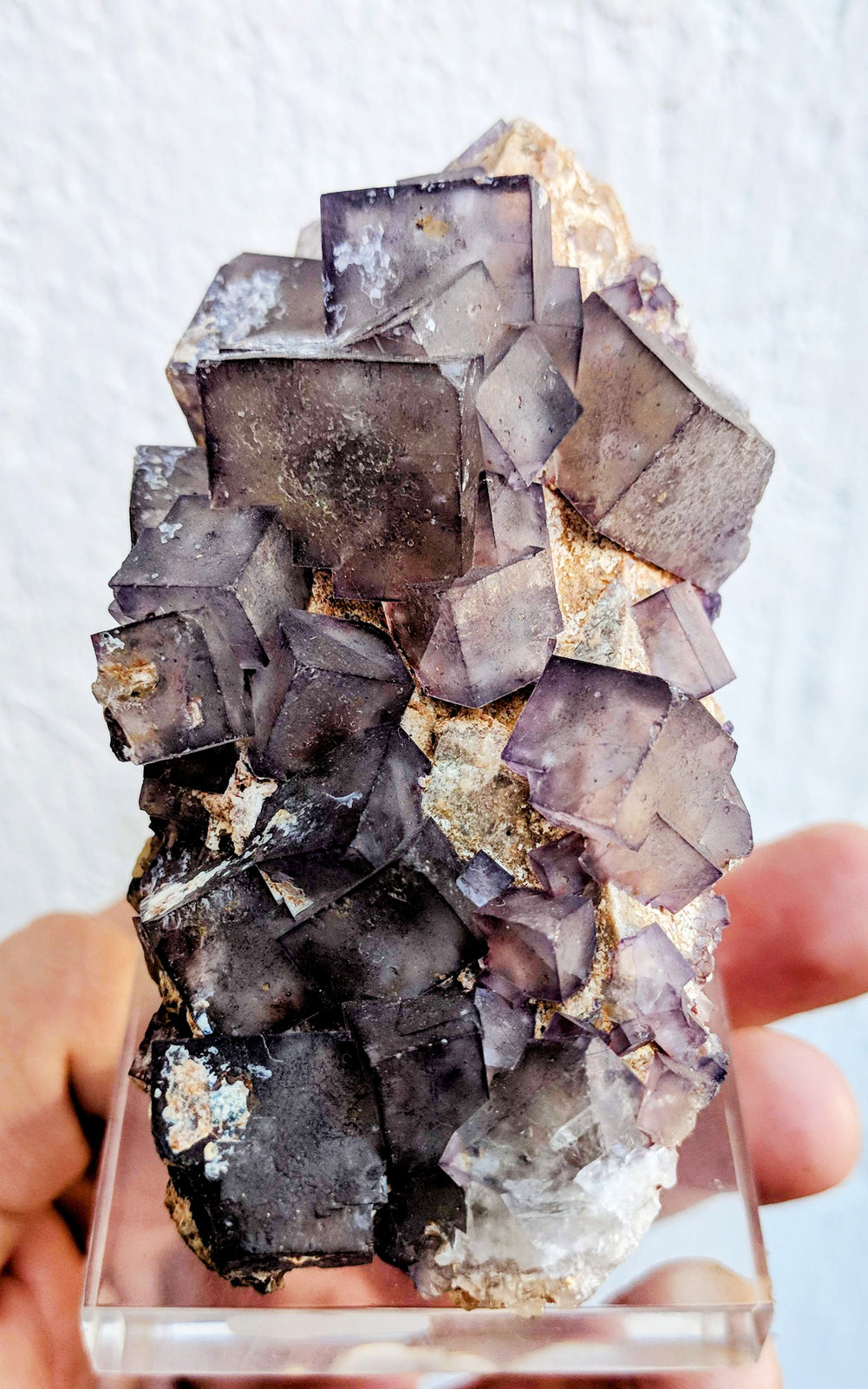 Fluorita
8,1 x 5,0 x 4,5 cm.
(Autor: carles)