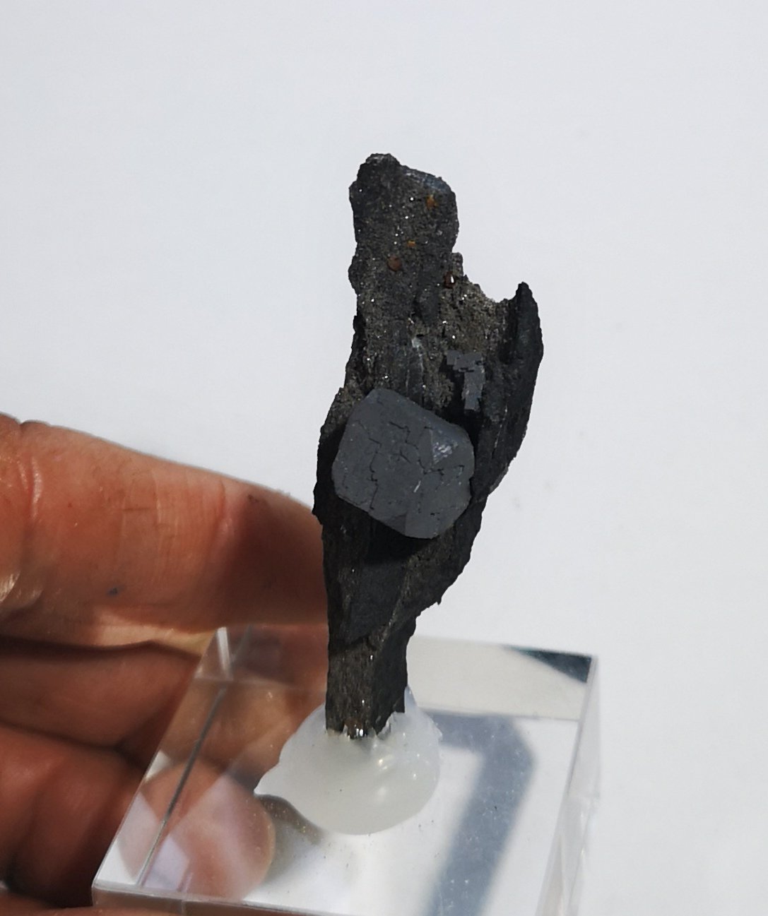 Galena
60x25x20mm
(Autor: joaquin gar)