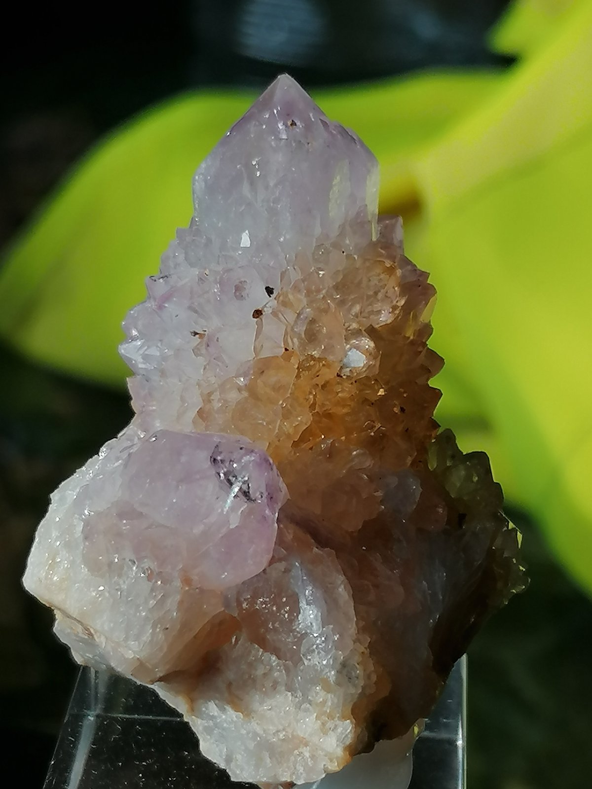 Cuarzo (variedad amatista).
5 cm. cristal mayor.
(Autor: Rafael varela olveira)
