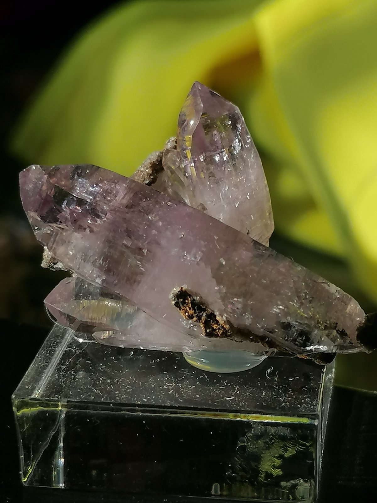 Cuarzo (variedad amatista).
5 cm. cristal mayor.
(Autor: Rafael varela olveira)