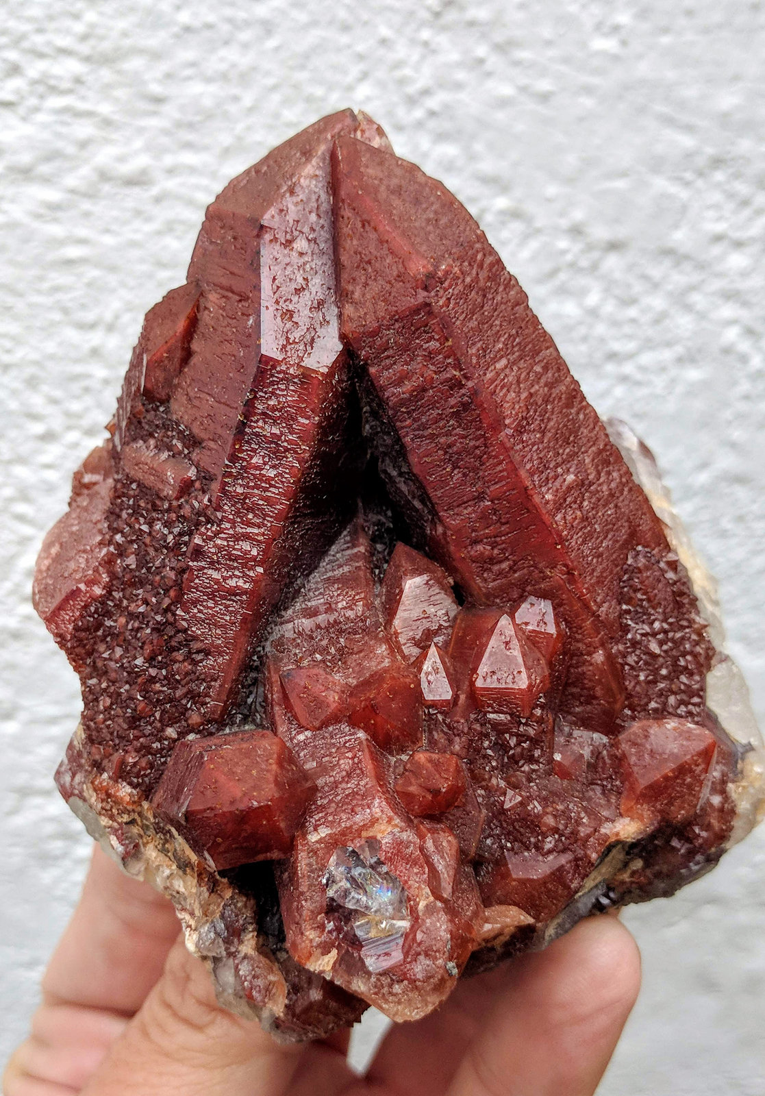Cuarzo (variedad cuarzo rojo)
9,5 x 8,0 x 5,5 cm.
(Autor: carles)