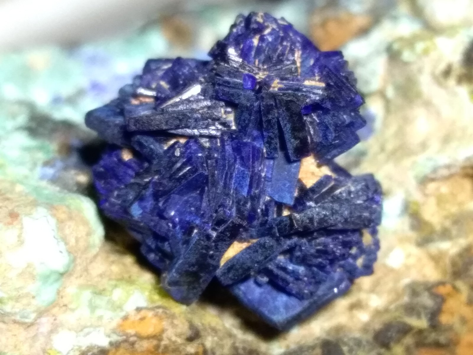Azurita, Chalcocita (Calcosina), Philipsburgita, Theisita
73 x 40 mm
(Autor: Sante Celiberti)