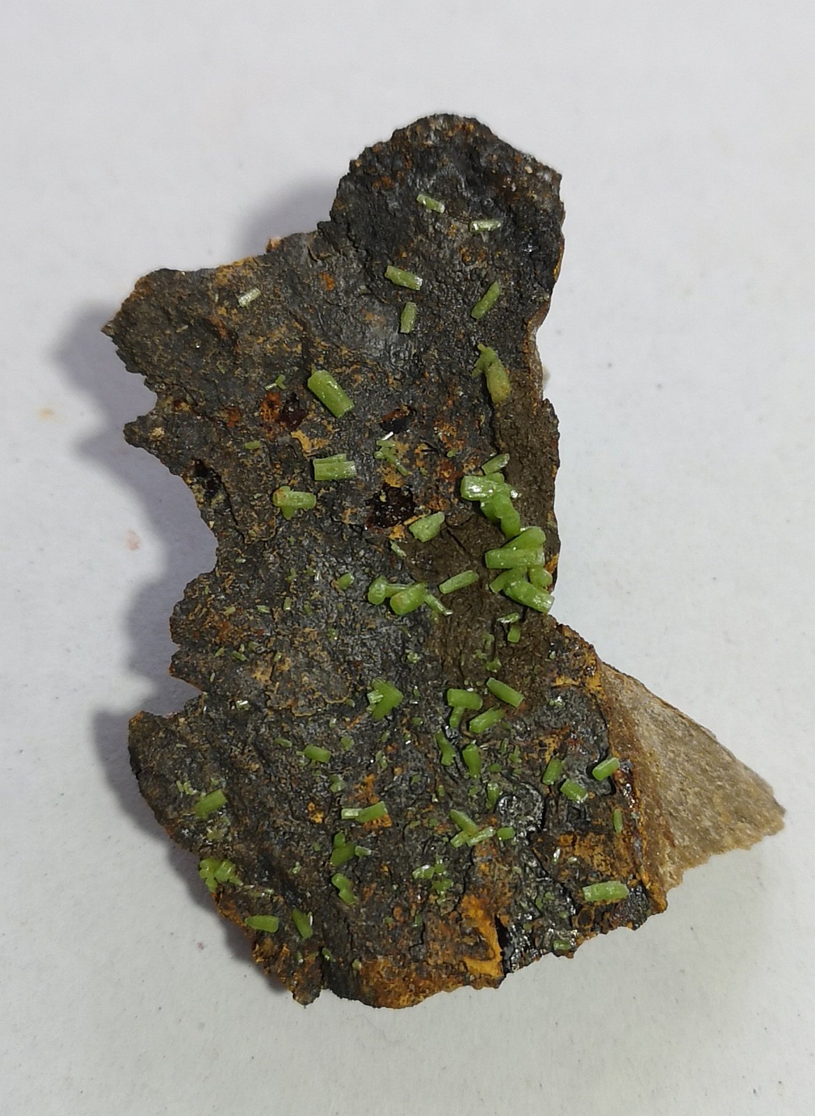Piromorfita
50x35mm
(Autor: joaquin gar)