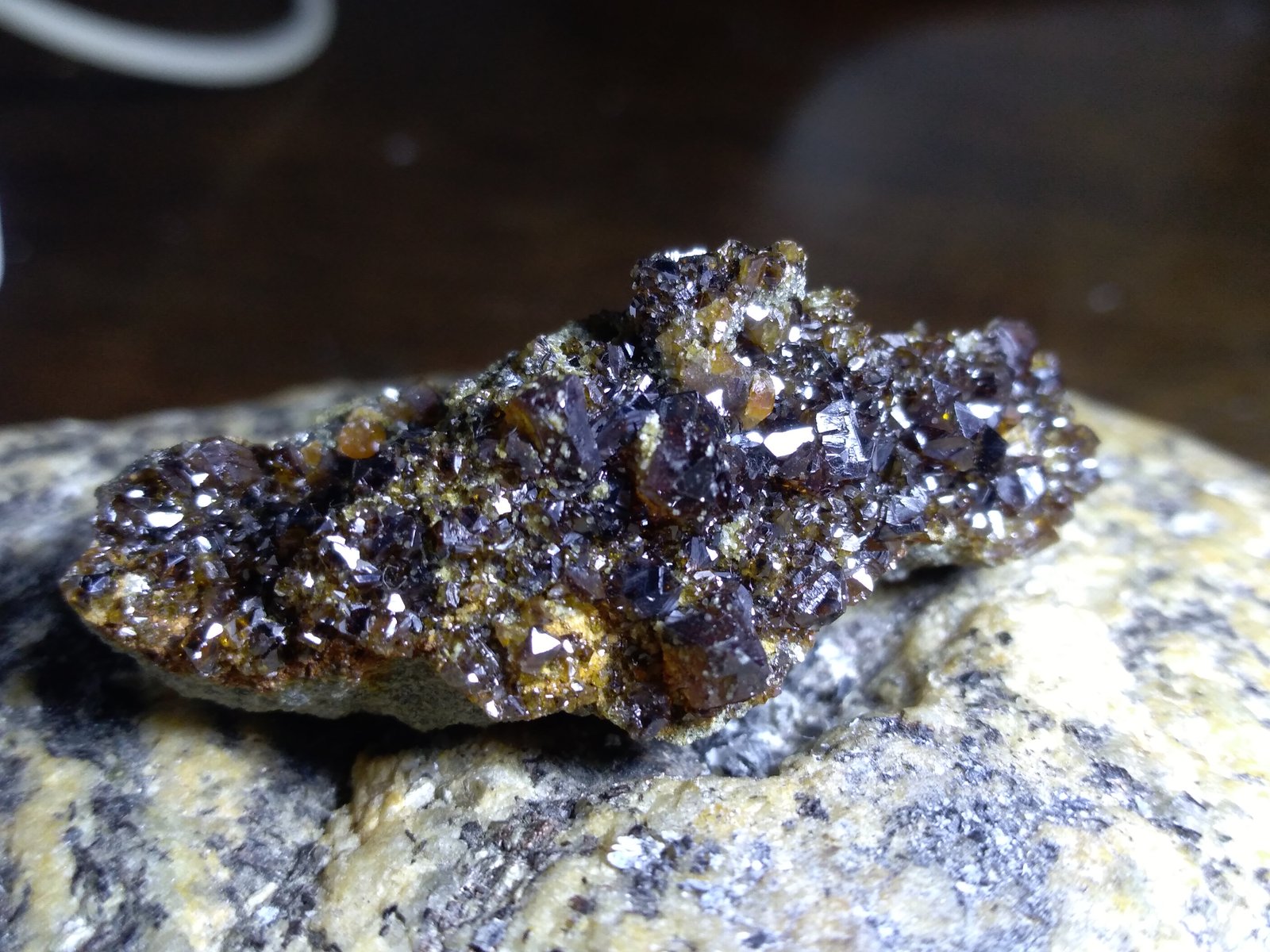 Esfalerita
42 x 16 mm
(Autor: Sante Celiberti)