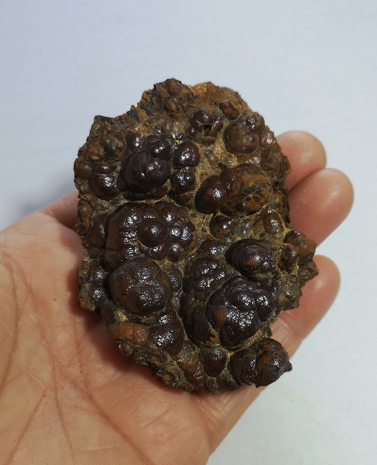 Goethita
90x70mm
(Autor: joaquin gar)