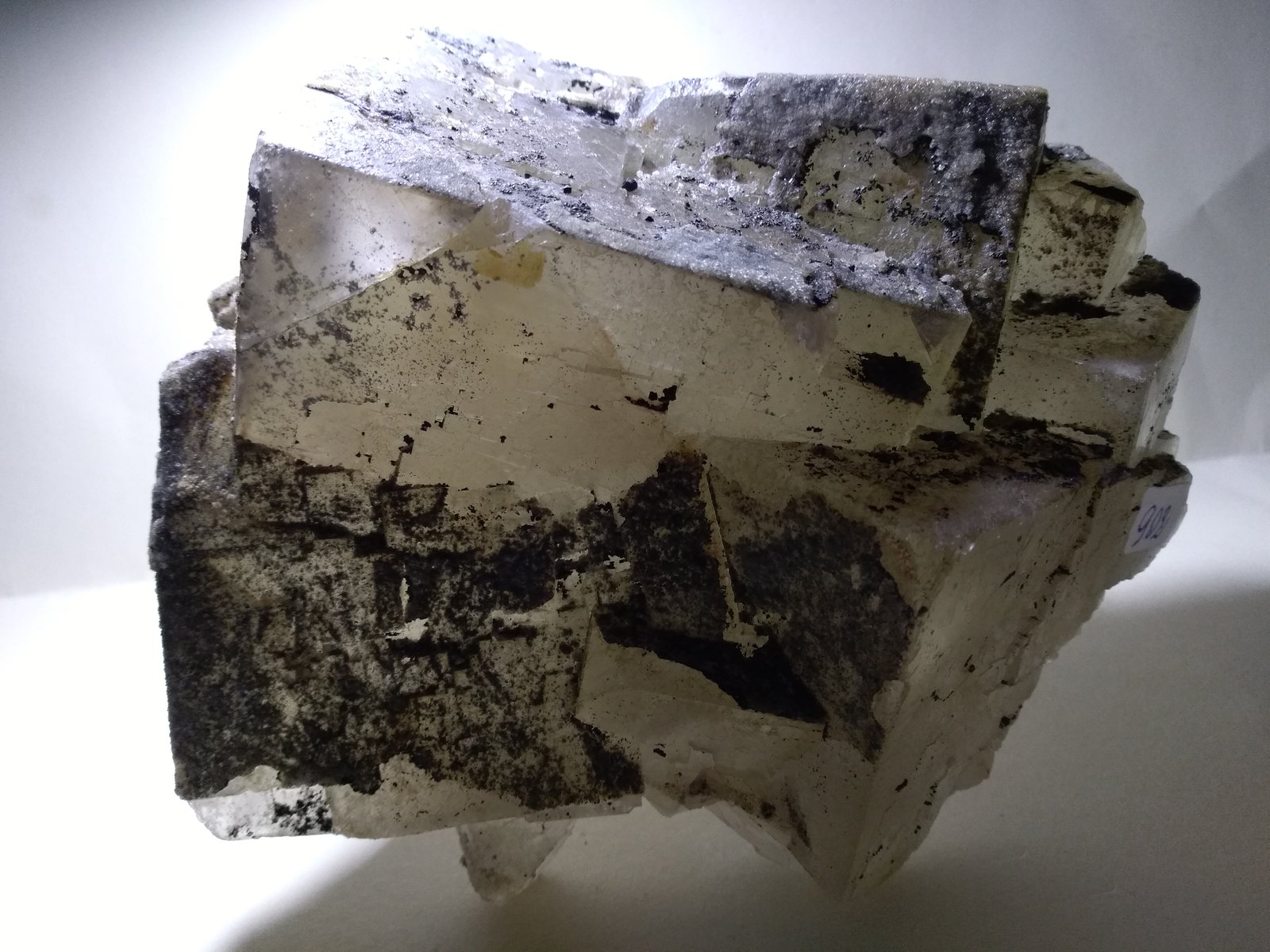 Fluorita, Marcasita
144 x 130 mm
(Autor: Sante Celiberti)