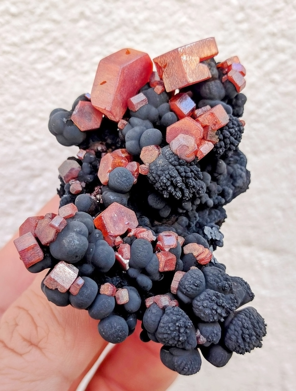 Vanadinita, óxidos de manganeso
6,2 x 4,3 cm.
(Autor: carles)