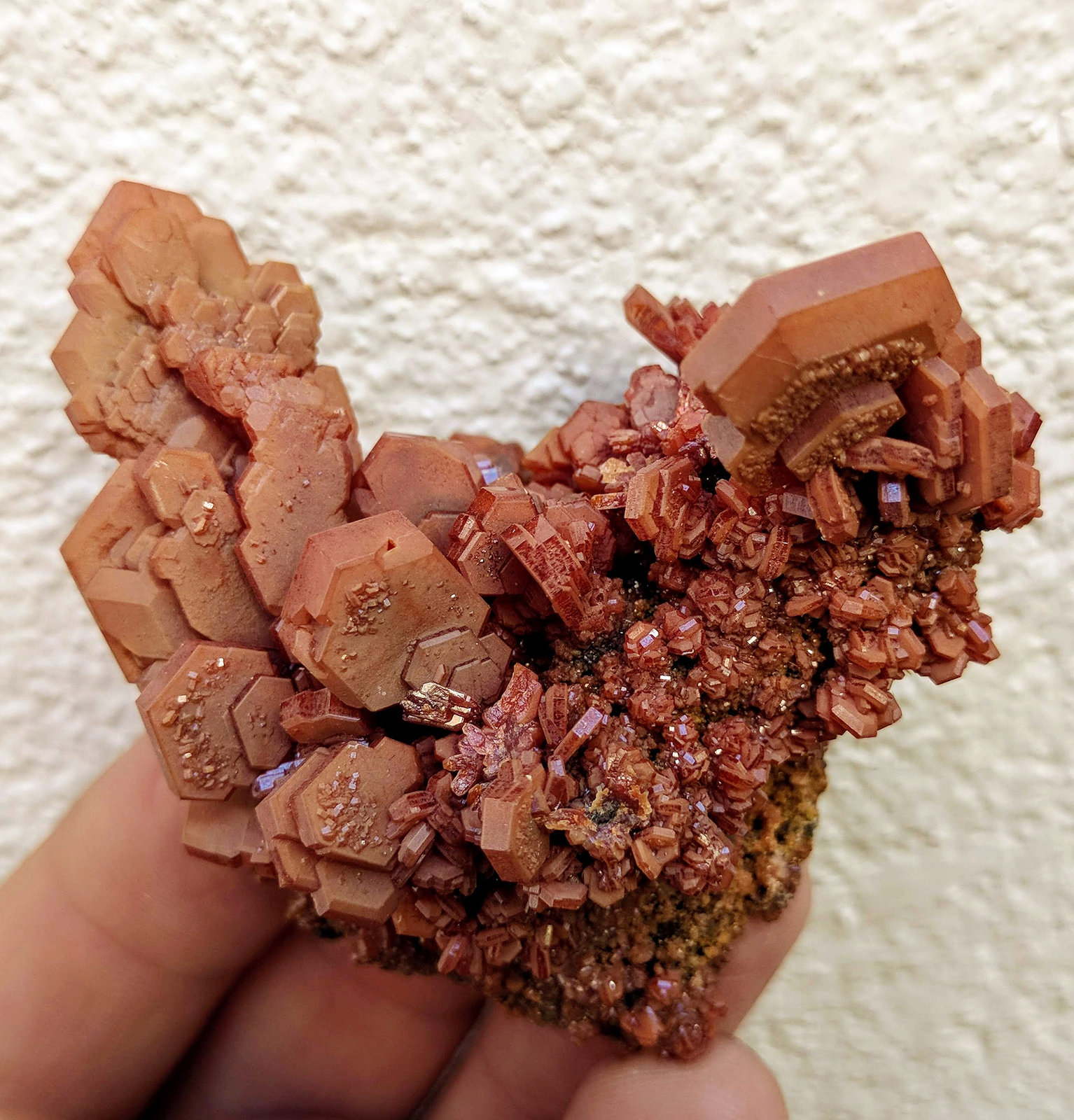 Vanadinita
6,2 x 5,5 cm.
(Autor: carles)