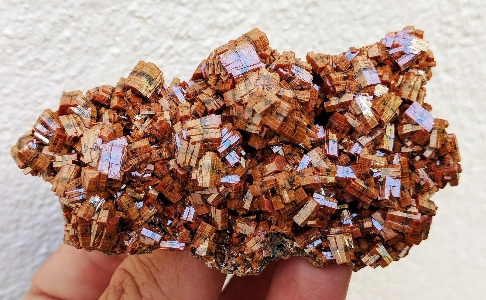 Vanadinita
8,2 x 4,6 cm.
(Autor: carles)