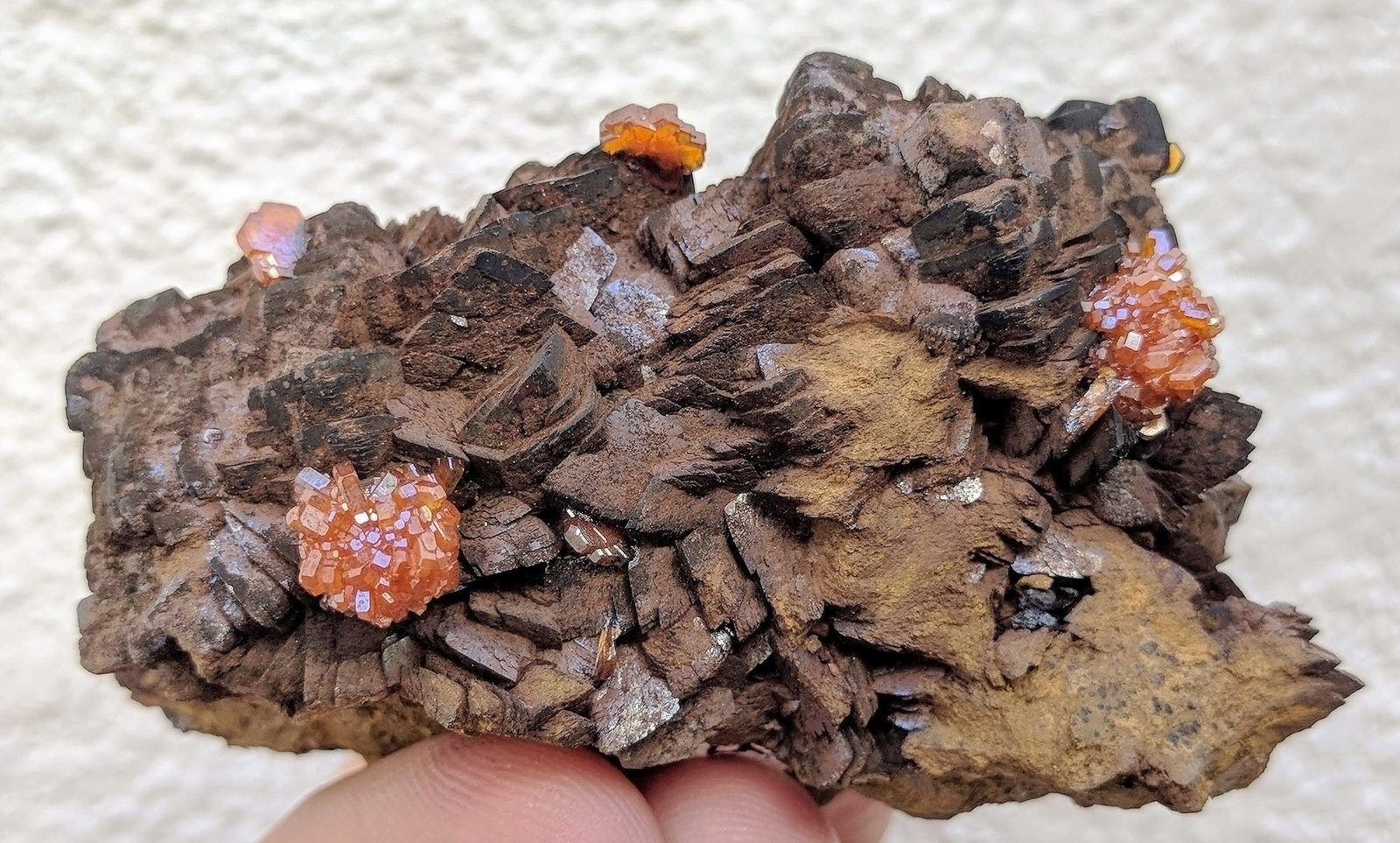 Vanadinita, Siderita
6,7 x 3,5 cm.
(Autor: carles)