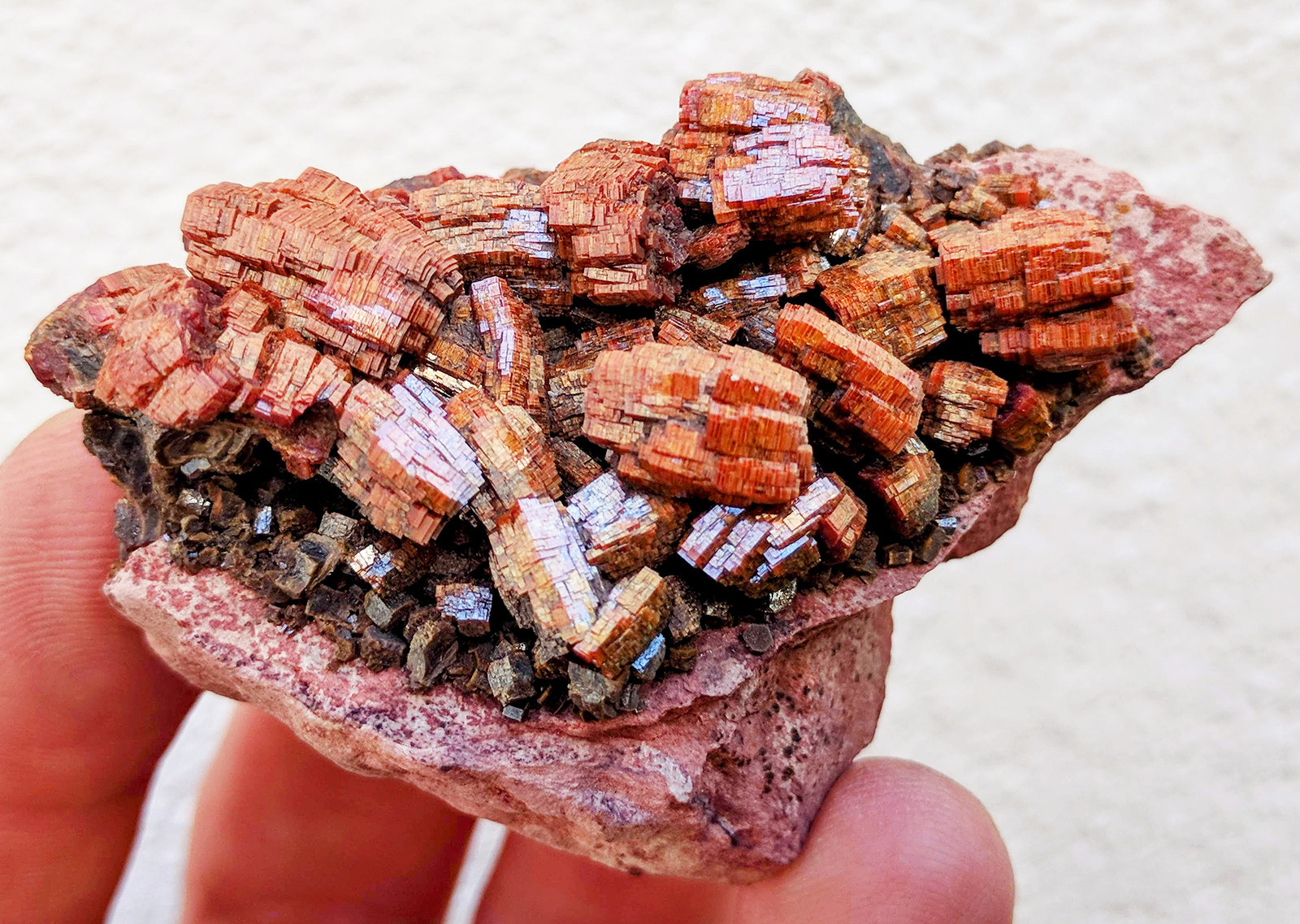 Vanadinita
6,2 x 2,7 cm.
(Autor: carles)